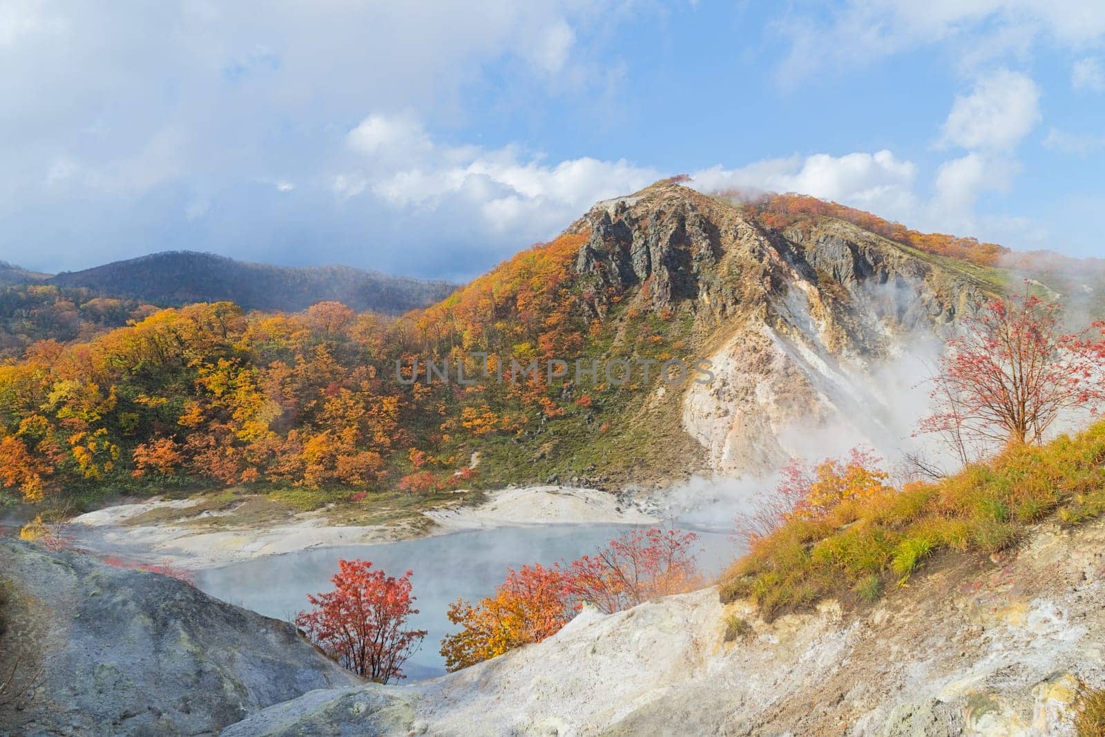 Noboribetsu Onsen is Hokkaido's most famous hot spring resort. A large amount of Noboribetsu's many types of hot spring water surfaces in the spectacular Jigokudani or "Hell Valley"" just above the resort town. Noboribetsu is part of Shikotsu-Toya National Park."