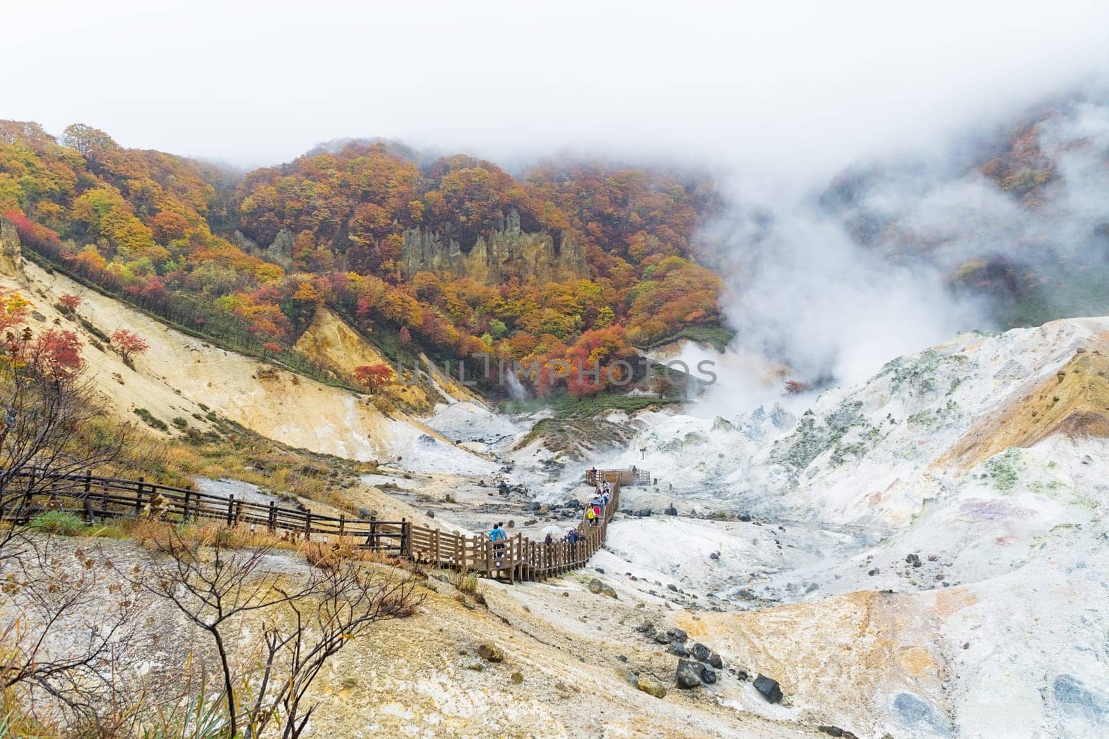 Noboribetsu Onsen is Hokkaido's most famous hot spring resort. A large amount of Noboribetsu's many types of hot spring water surfaces in the spectacular Jigokudani or "Hell Valley"" just above the resort town. Noboribetsu is part of Shikotsu-Toya National Park."