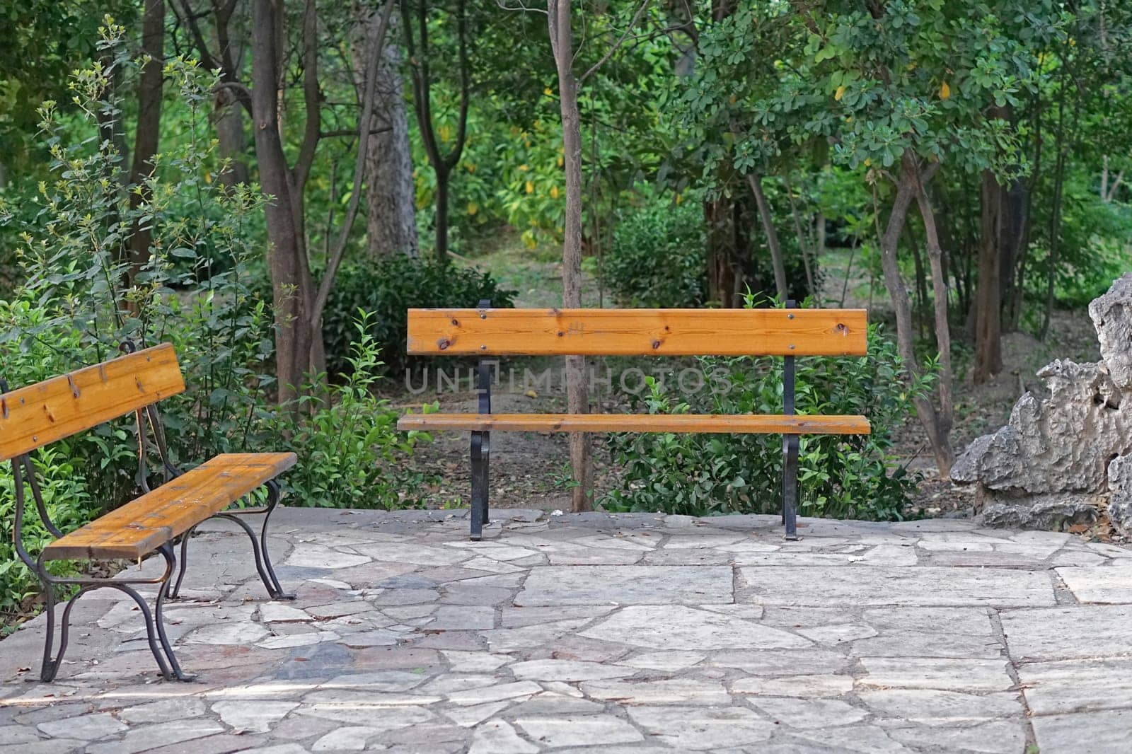 Two benches with patio in park