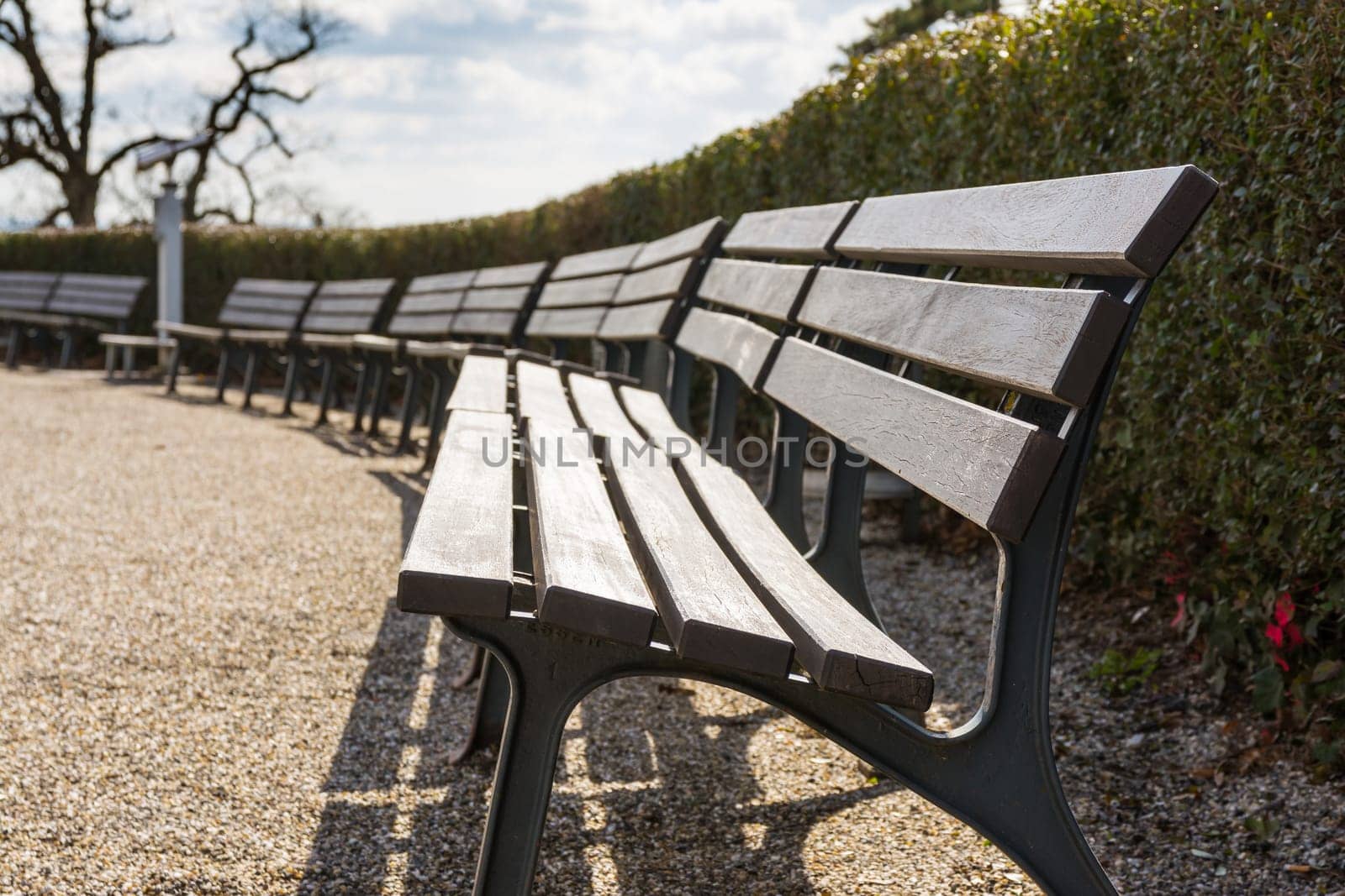 Empty Bench Row Bushes Sky Park Open Skies Blue Sunny Day Beautiful Weather European Tourist Location