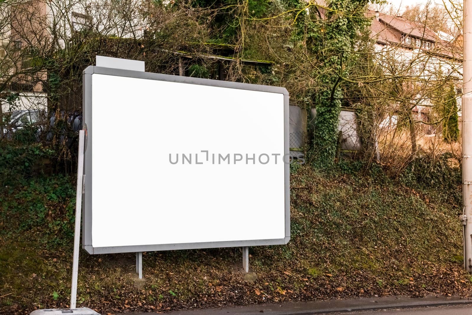 Blank Billboard Copyspace Forest Warm Sun Flare Light Outdoors Street Side Curb Large Empty Template Isolated Leaves Trees Forest