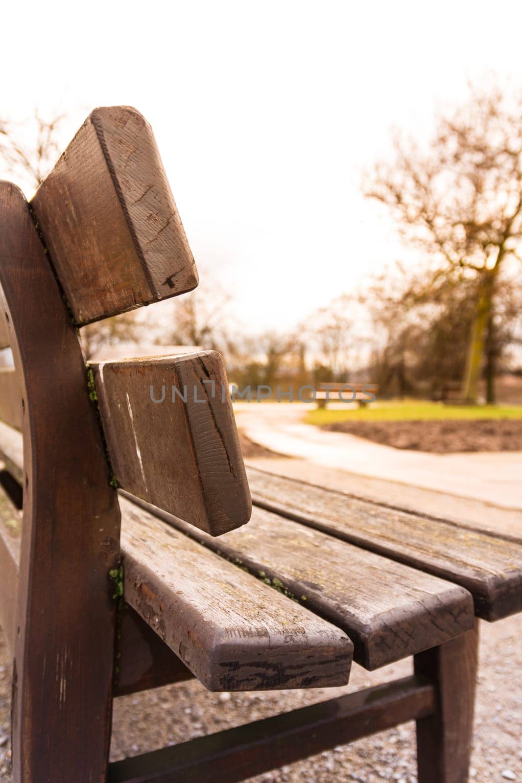 Park Bench Sun Flare Sunlight Sunny Day Empty Lonely Quiet Peaceful Meditation Texture Closeup Wooden