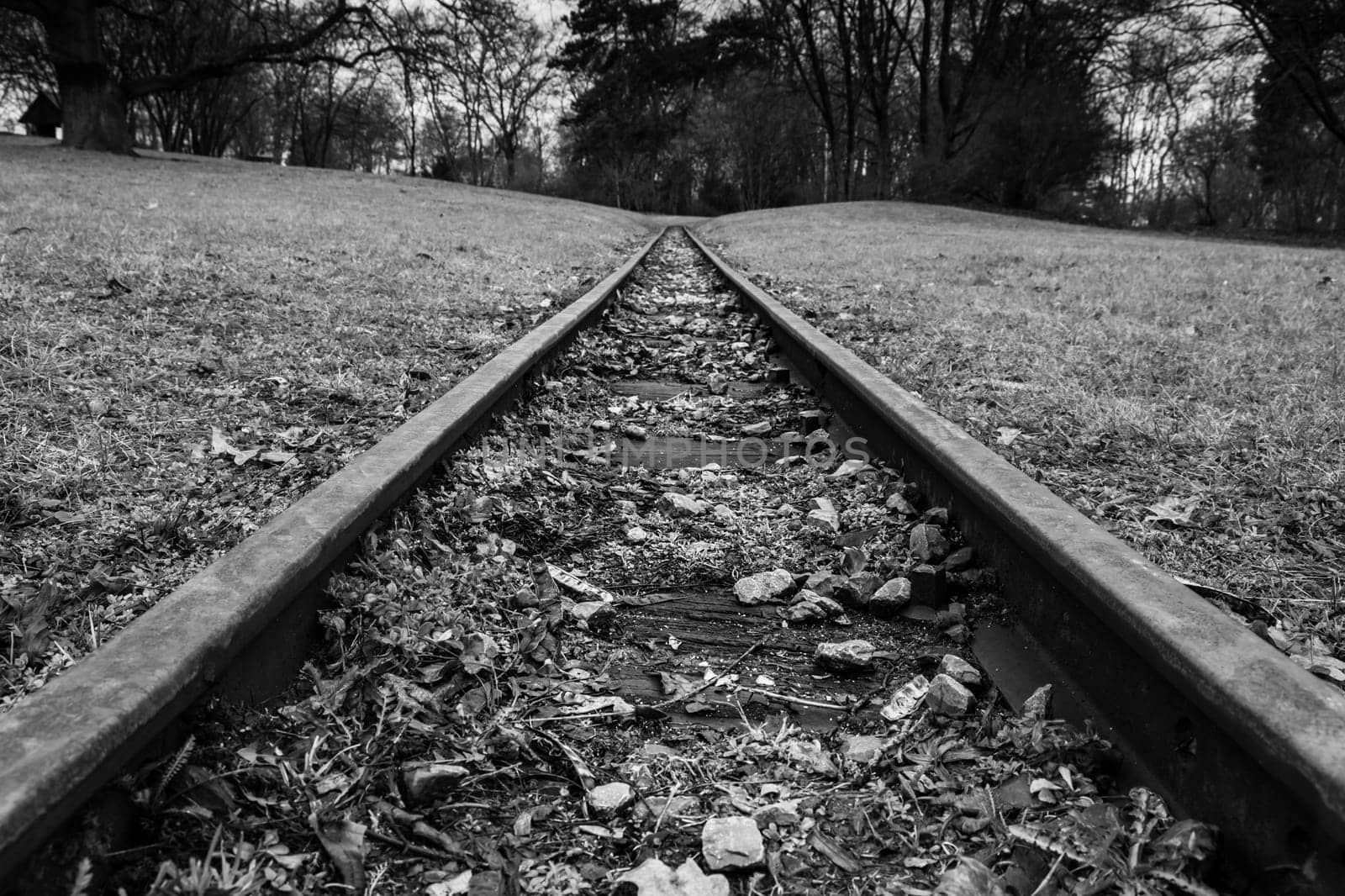 Rail Road Tracks Park Hills Landscape Forest Black White Monochrome Emotional Goal Travel Moving Perspective Closeup