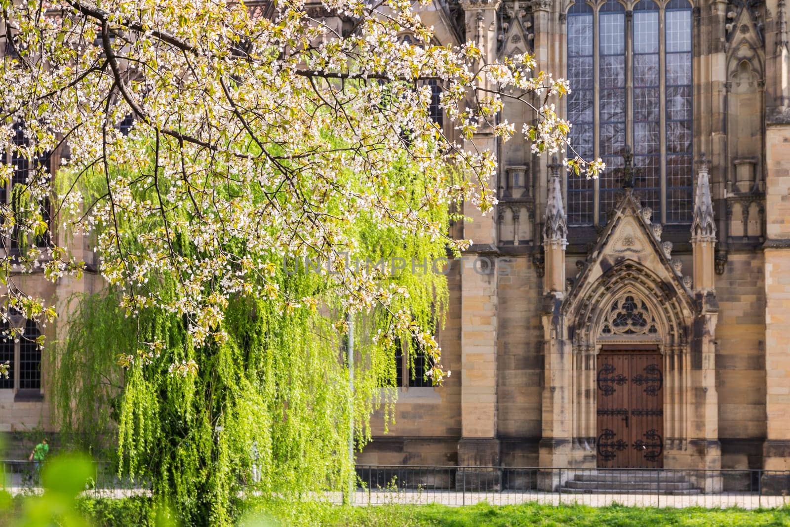 Feuersee Stuttgart Germany Europe Cathedral Religious Old Architecture Destination Visit Travel City Buildings Park Pond