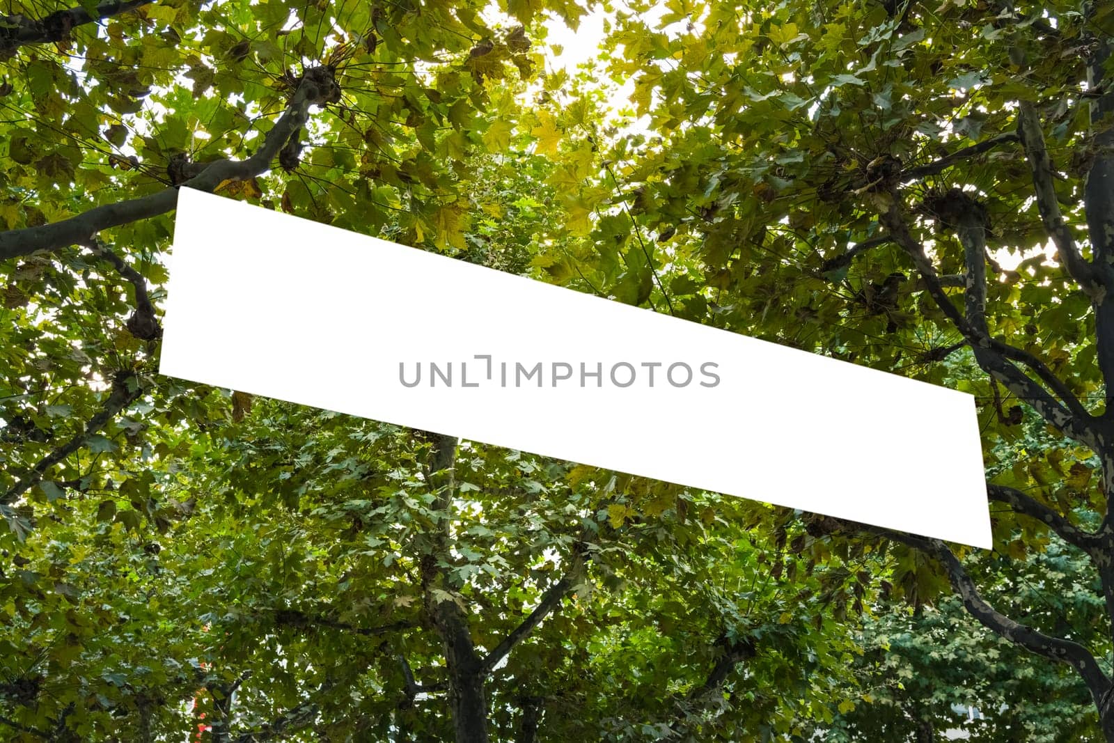 Banner Hanging in Trees Public Park Blank BIllboard Ad Space Isolated White
