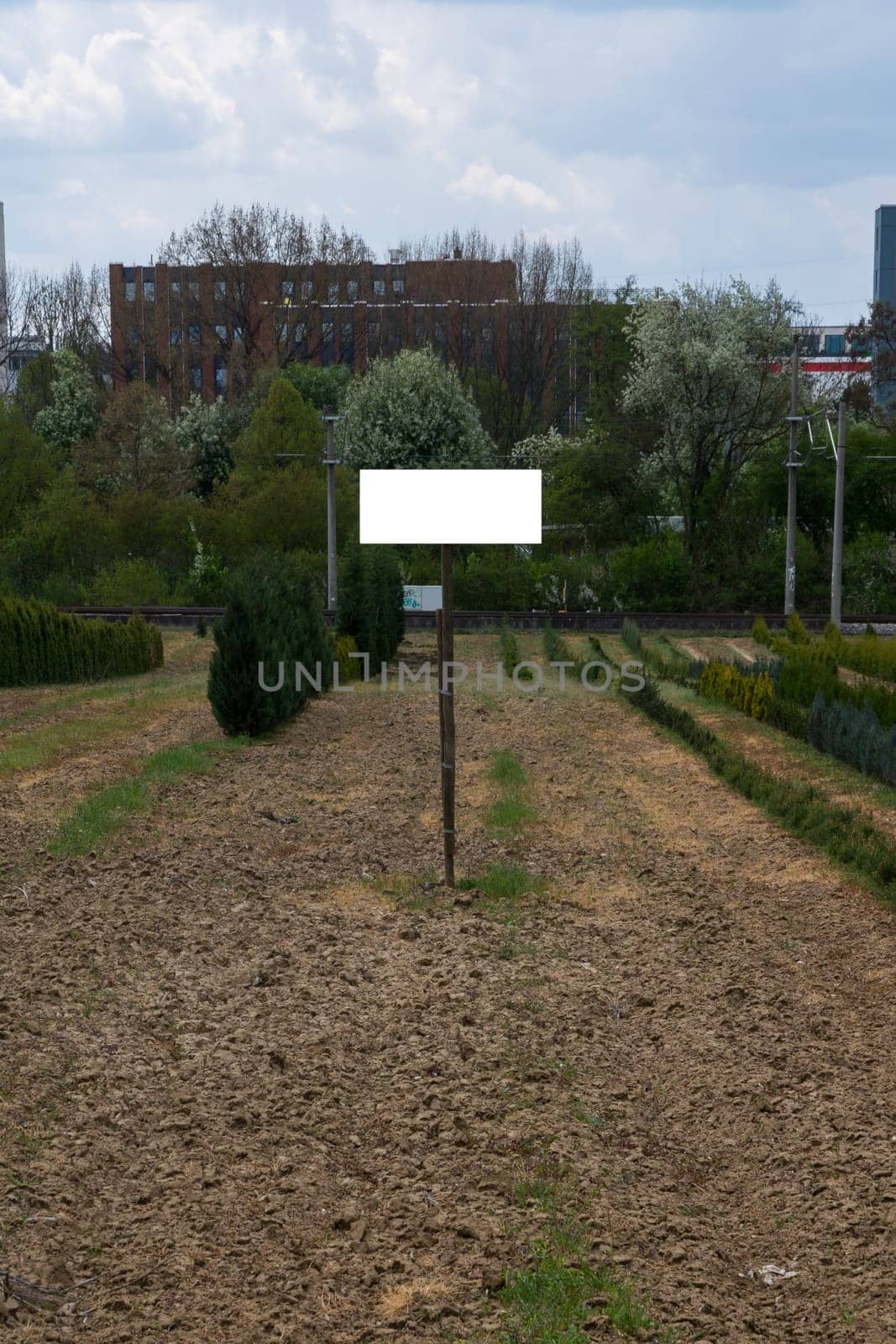Grass Field Blank Sign Template Forest White Clipping Path Isolated