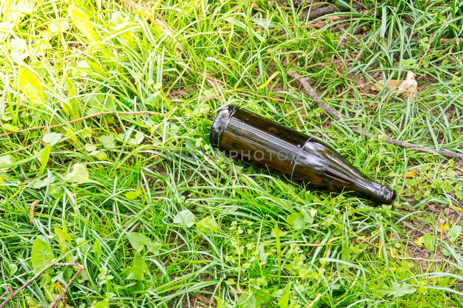 Grass Green Ground Beer Bottle Empty