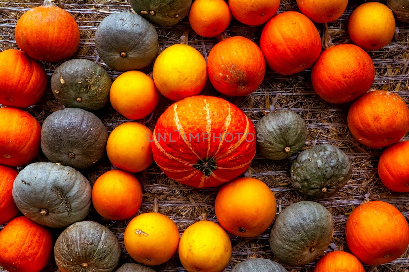 Pumpkin Orange Attached Haybale Closeup Background Texture Decoration Autumn Fall Swirl Pattern