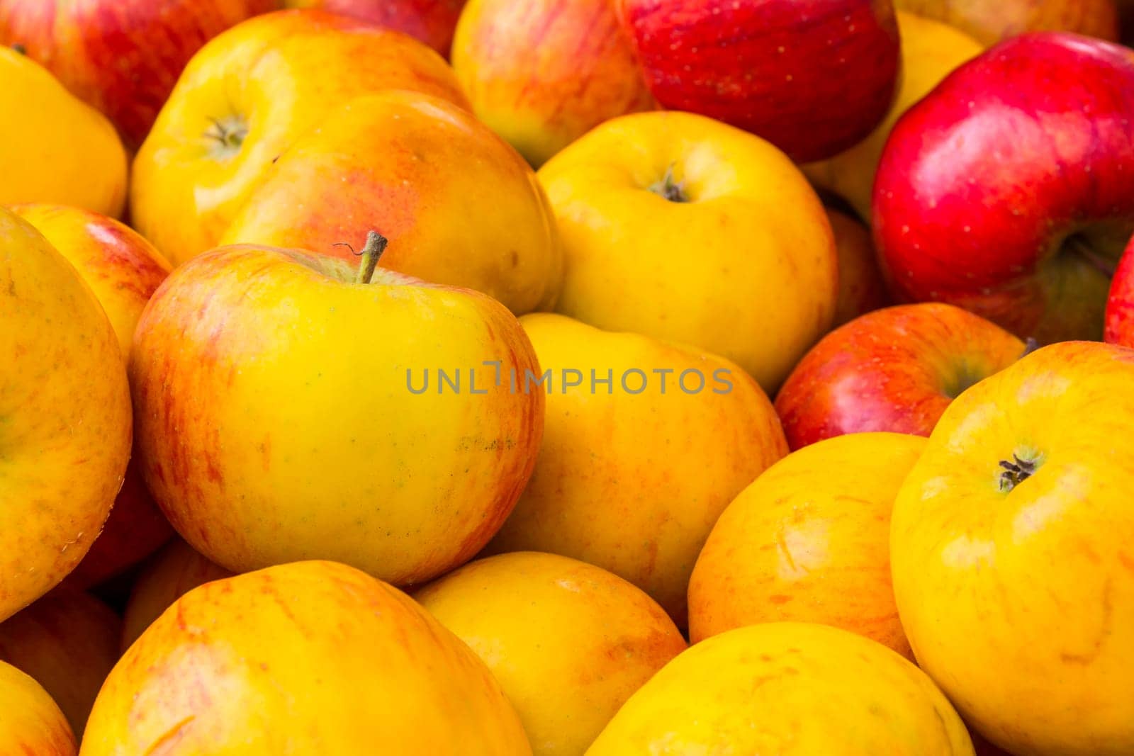 Apple Buch Yellow Red Market Selling Crate Closeup Macro