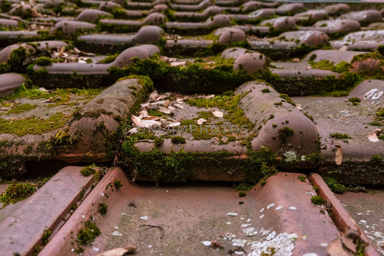 Clay Roof Shingles European German Moss Dirty Old Shed Top Closeup