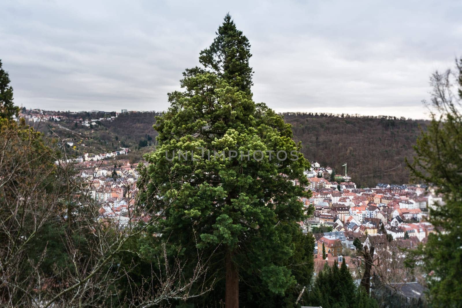 Dramatic Tree City Overcast Landscape Stuttgart Blauer Weg View Kessel Bright Leaves Sunset