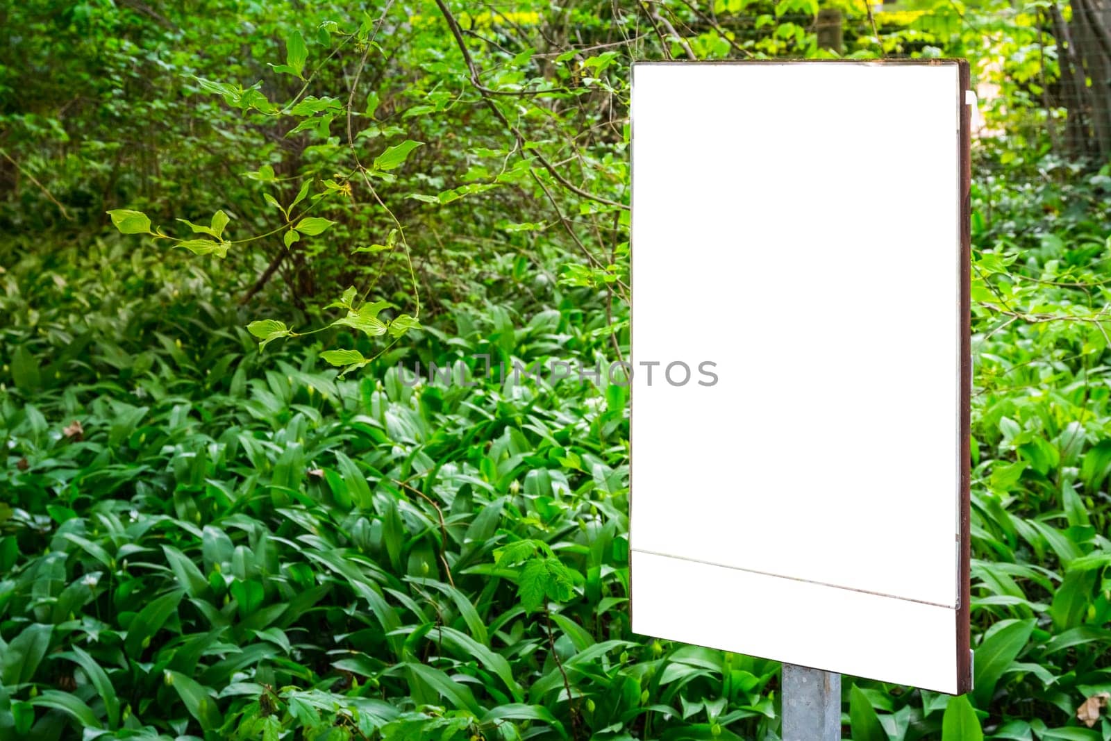 City Typical Ad Space Large White Isolated Template Banner Urban