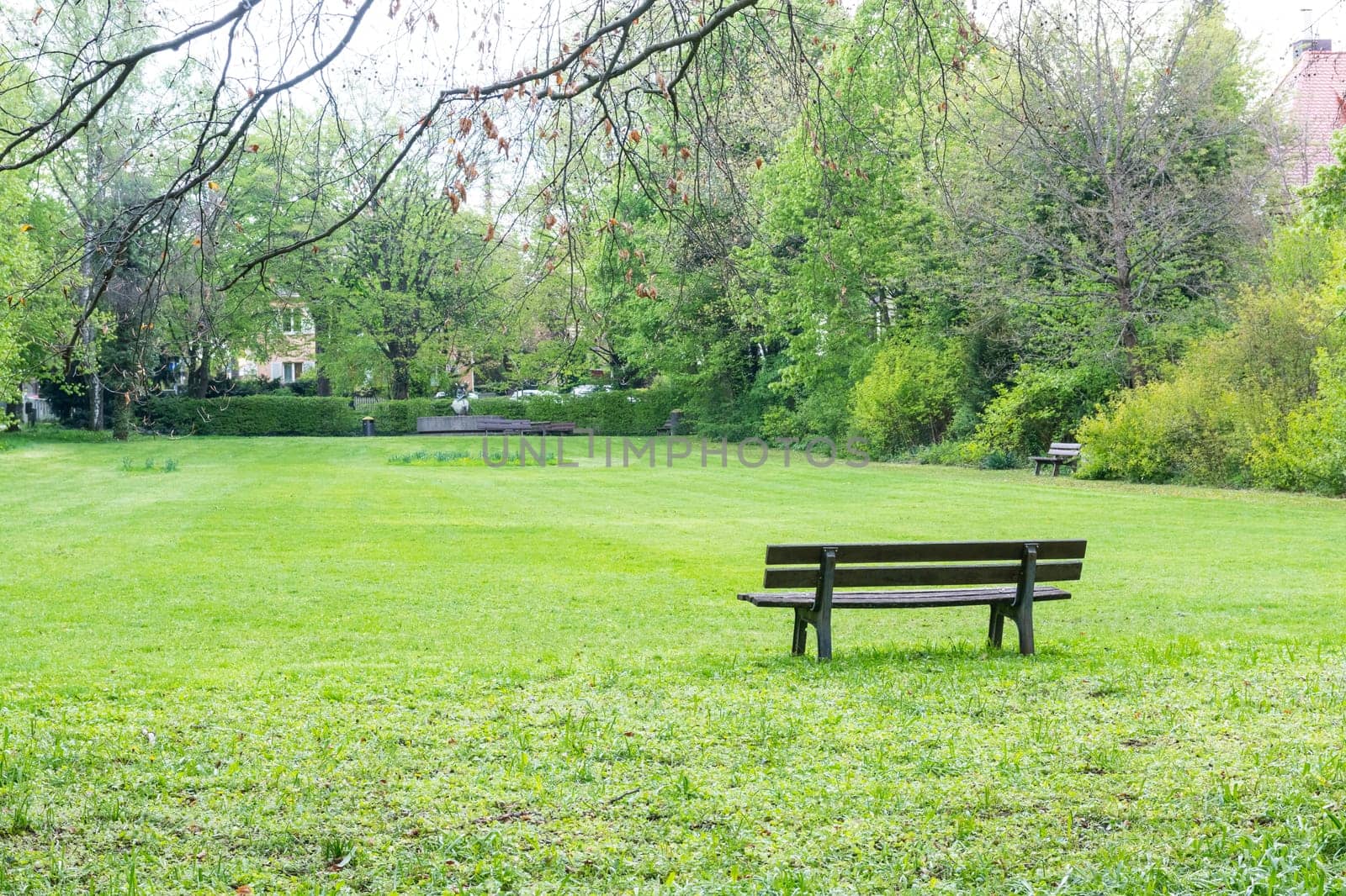 Cool Temperature Park Outdoors Overcast Weather Cold Cloudy Day Green Grass
