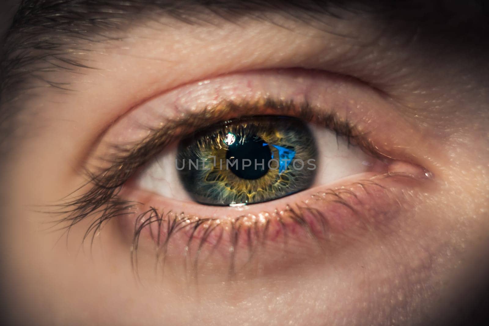 Eyeball Closeup Iris Muscles Pattern Eyebrow Human Physiology Colorful Identity