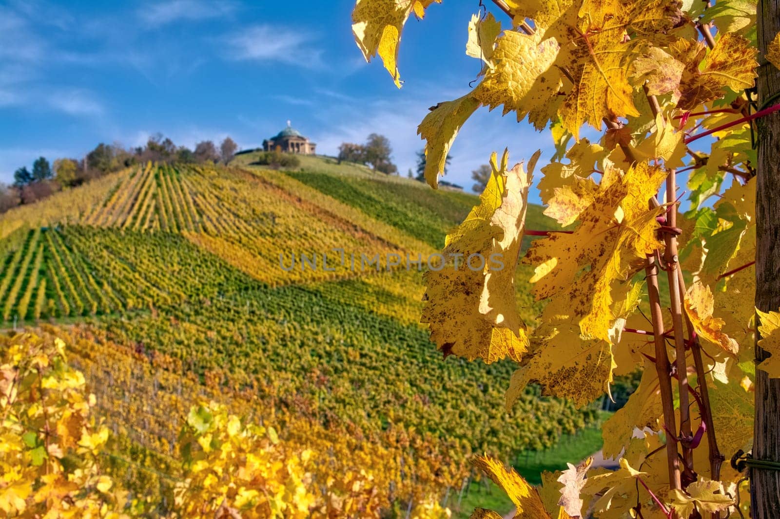 Stuttgart Germany Grabkapelle Vineyards Autumn Fall Season Beautiful Landscape Farming Agriculture Wine