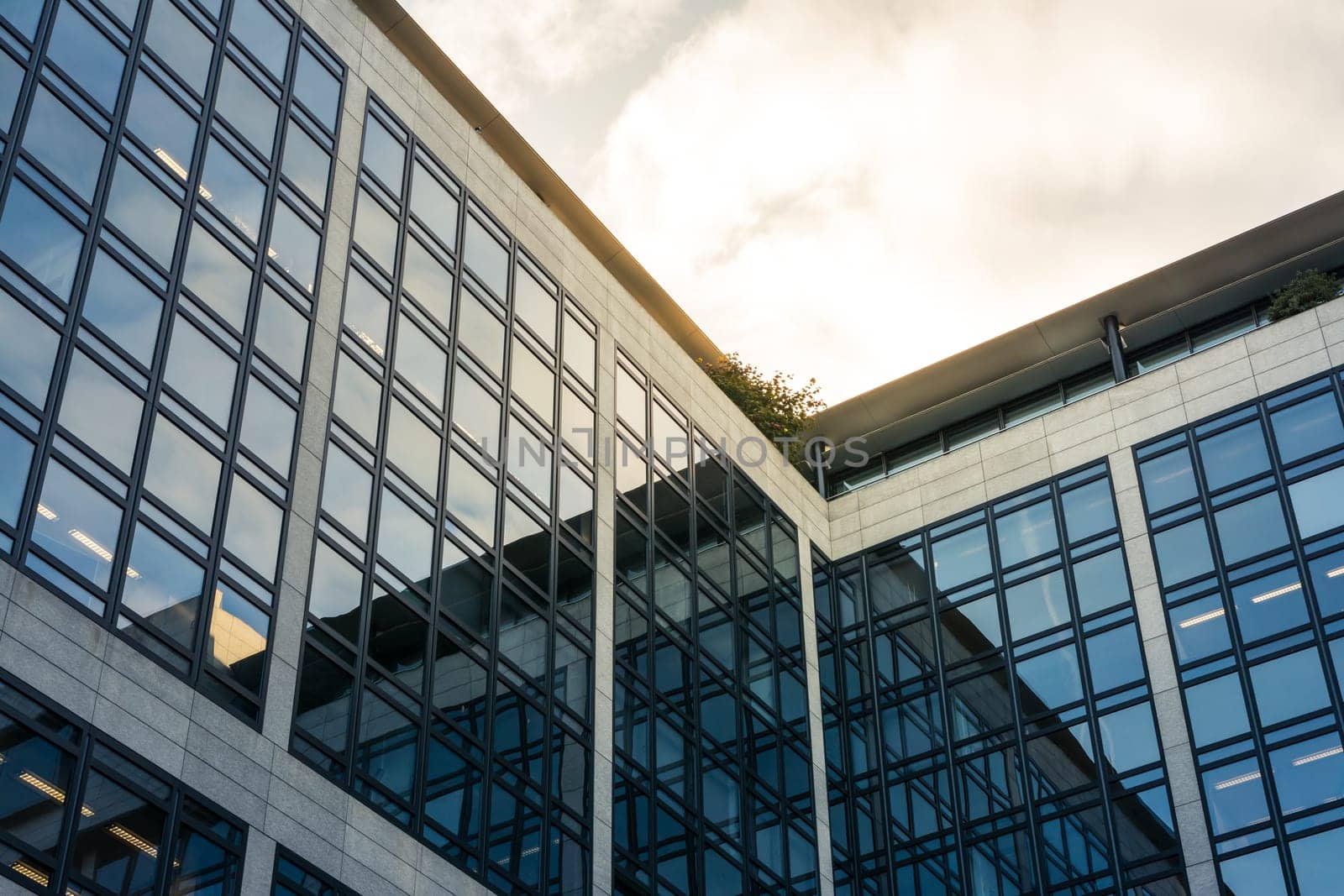 Office Building Sun Flare Corporate Windows City Urban