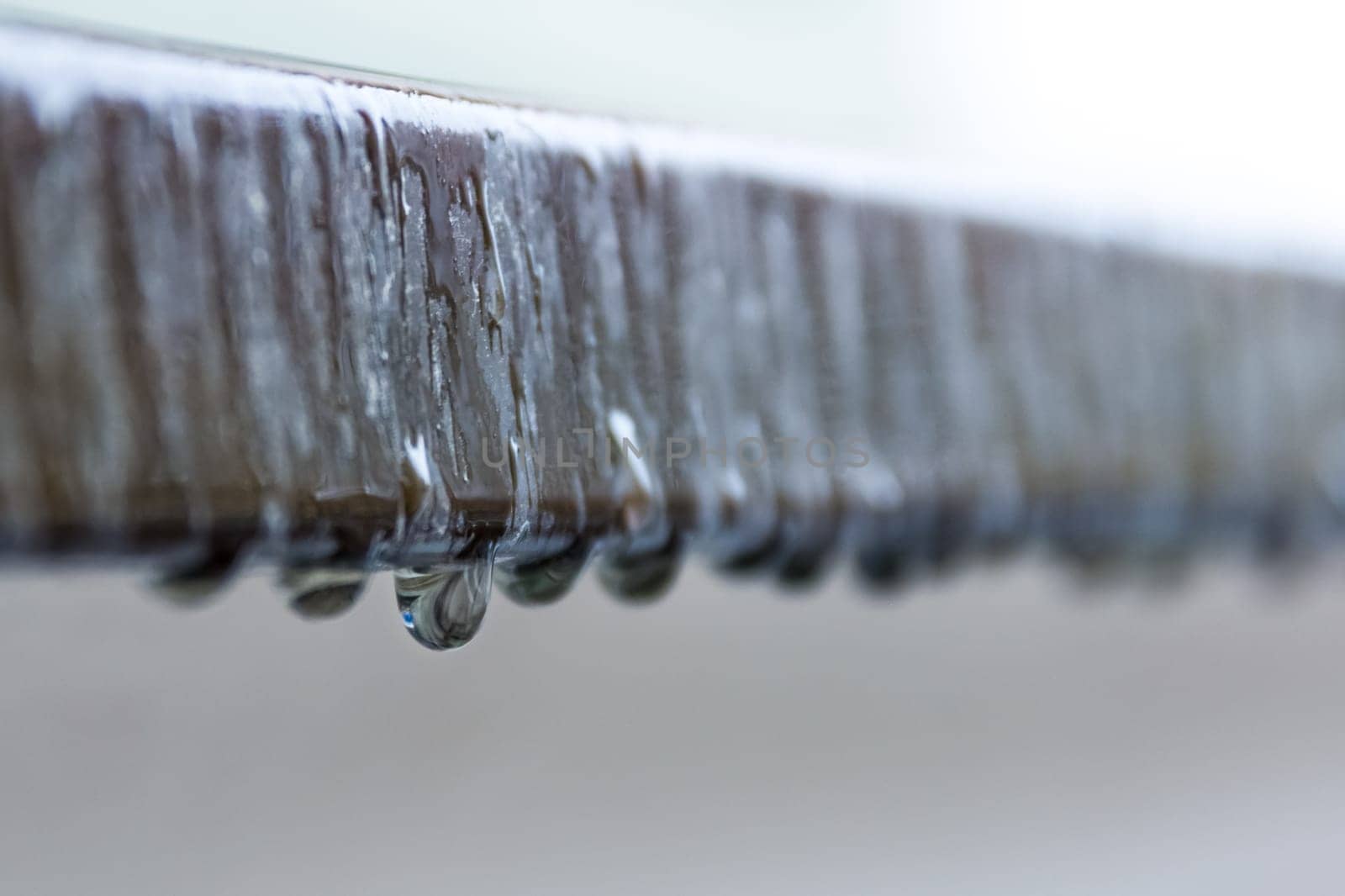 Single Water Droplet Dripping from Edge with Depth of Field from Others