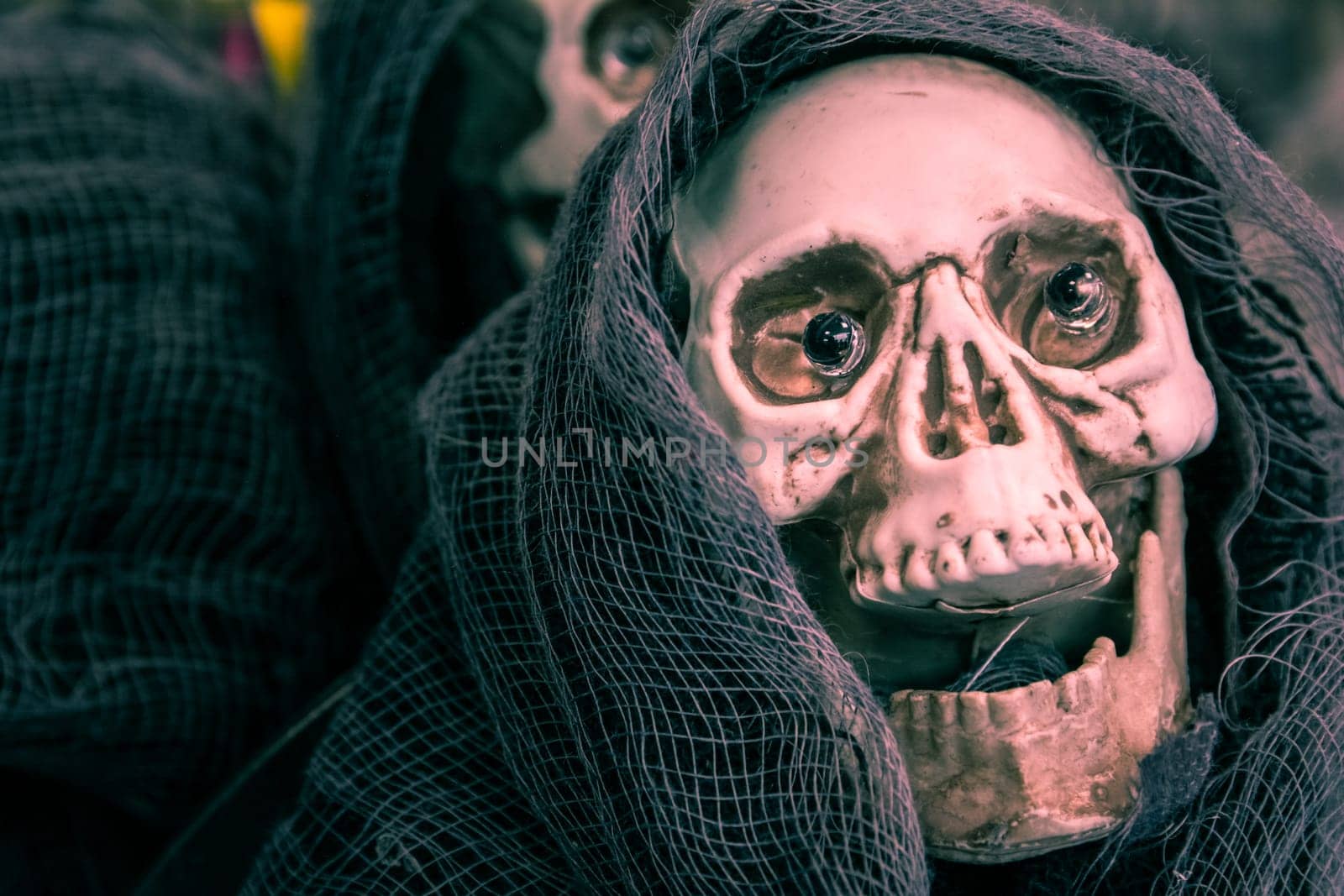 Skull Halloween Decoration Skeleton Spooky Prop Holiday Object Closeup