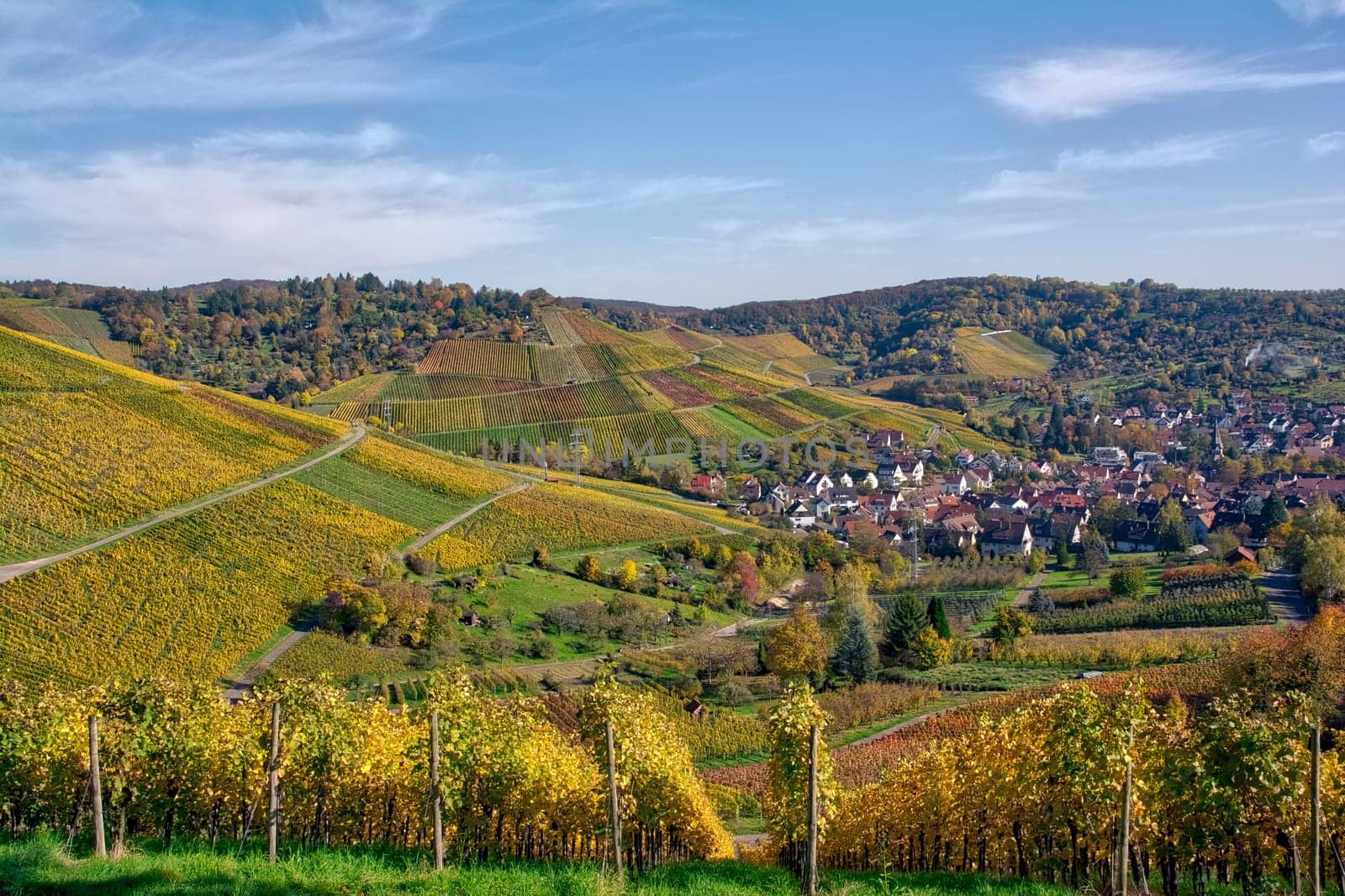 Outdoors Vineyard Landscape Fall Season Autumn Orange Yellow Green Farmland Agriculture European Wine