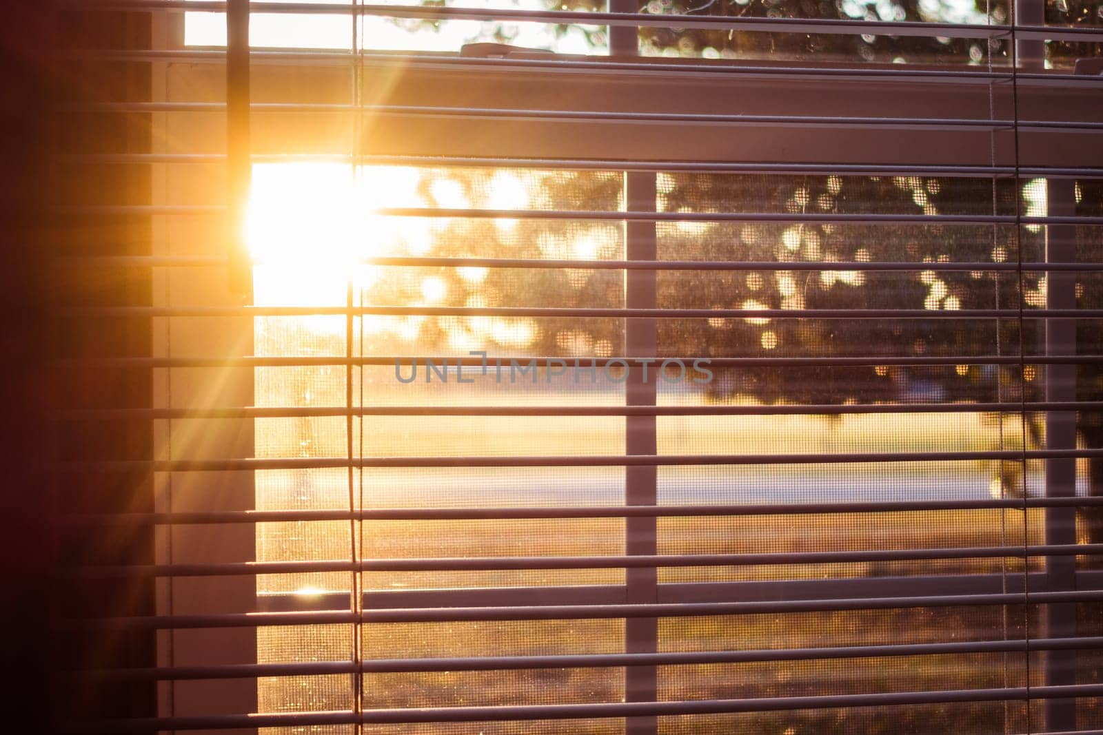 Sunlight Through the Window