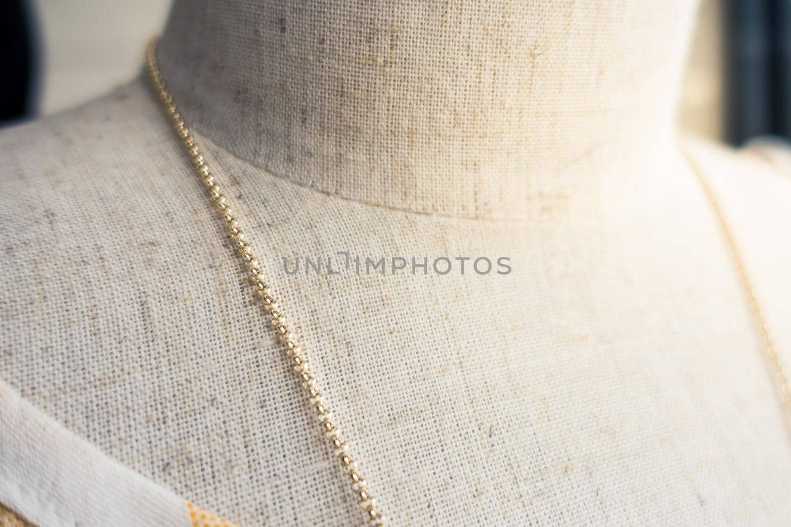 Necklace on a Model