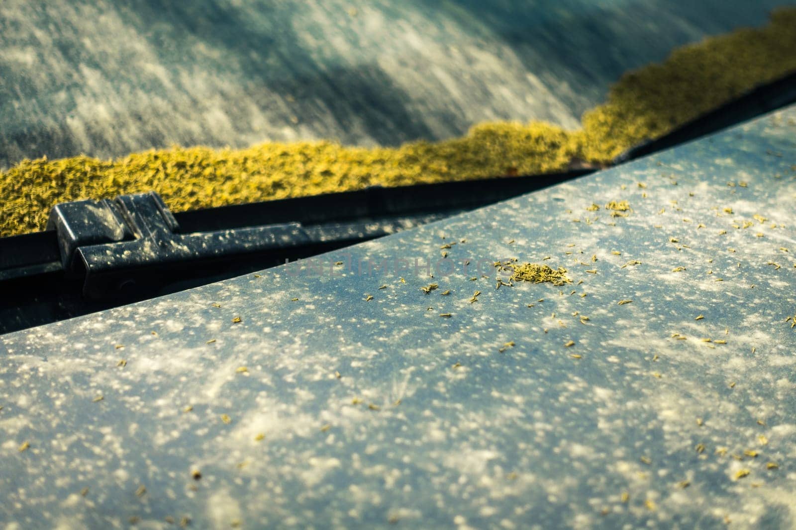 A Car was Covered with Dust