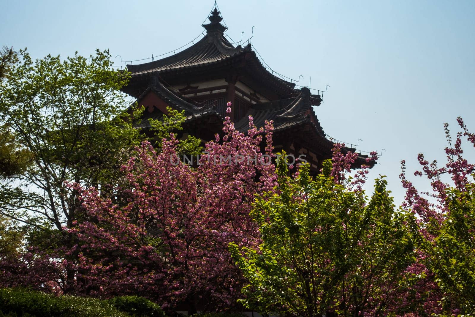 Ancient Chinese Temple