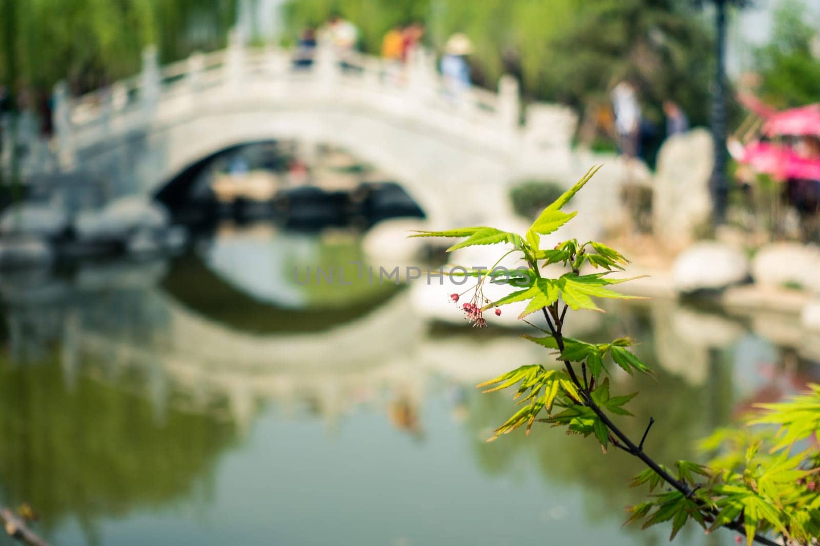 Clean River and Traditional Bridge in Regions South of the Yangtze River China