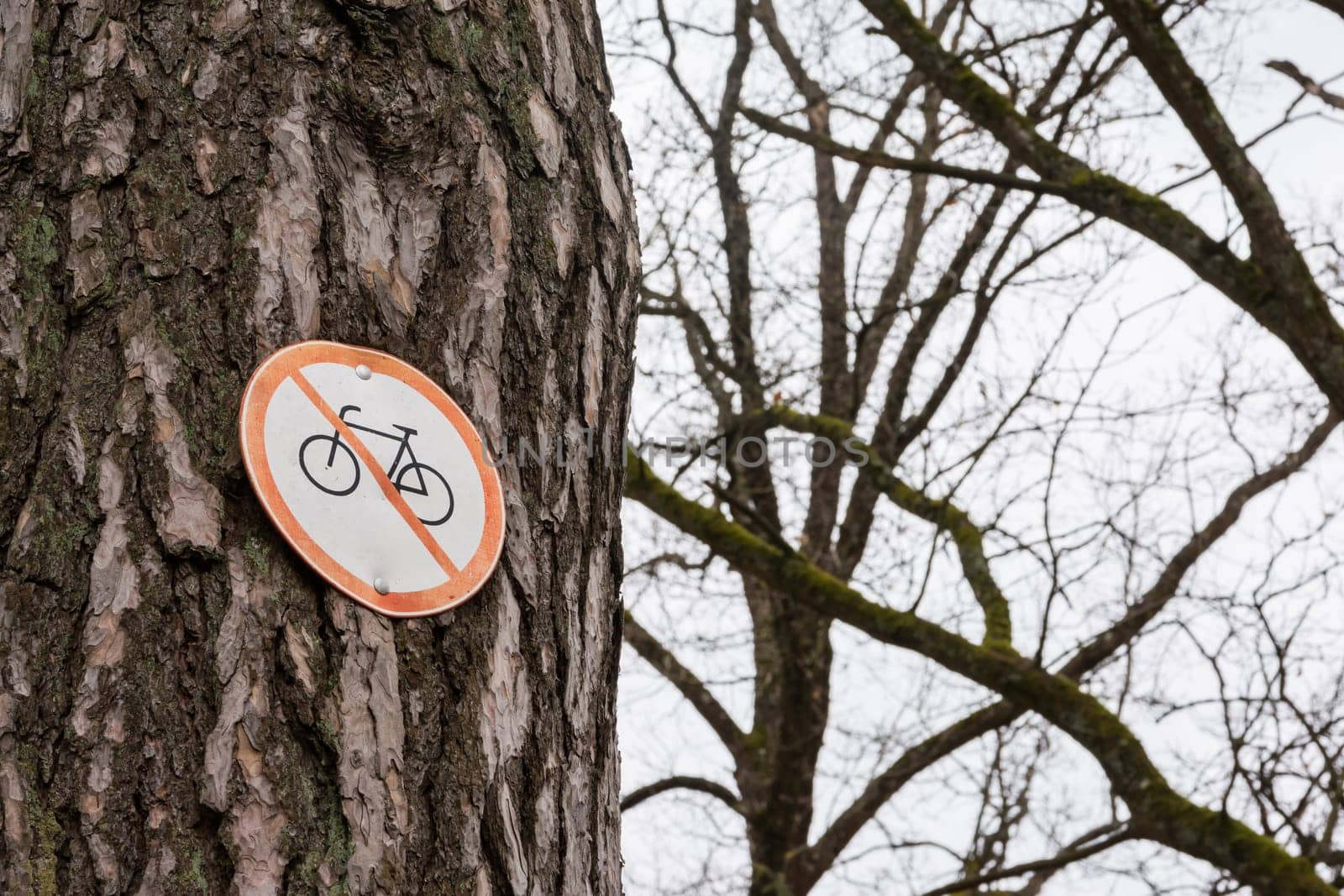 No Bicycle Sign Tree Pinned Bark Park Path Red White