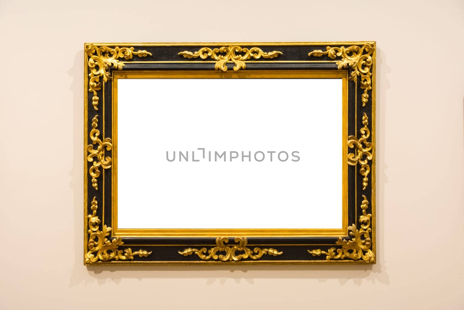 Blank Art Museum Isolated Painting Frame Decoration Indoors Wall White Template