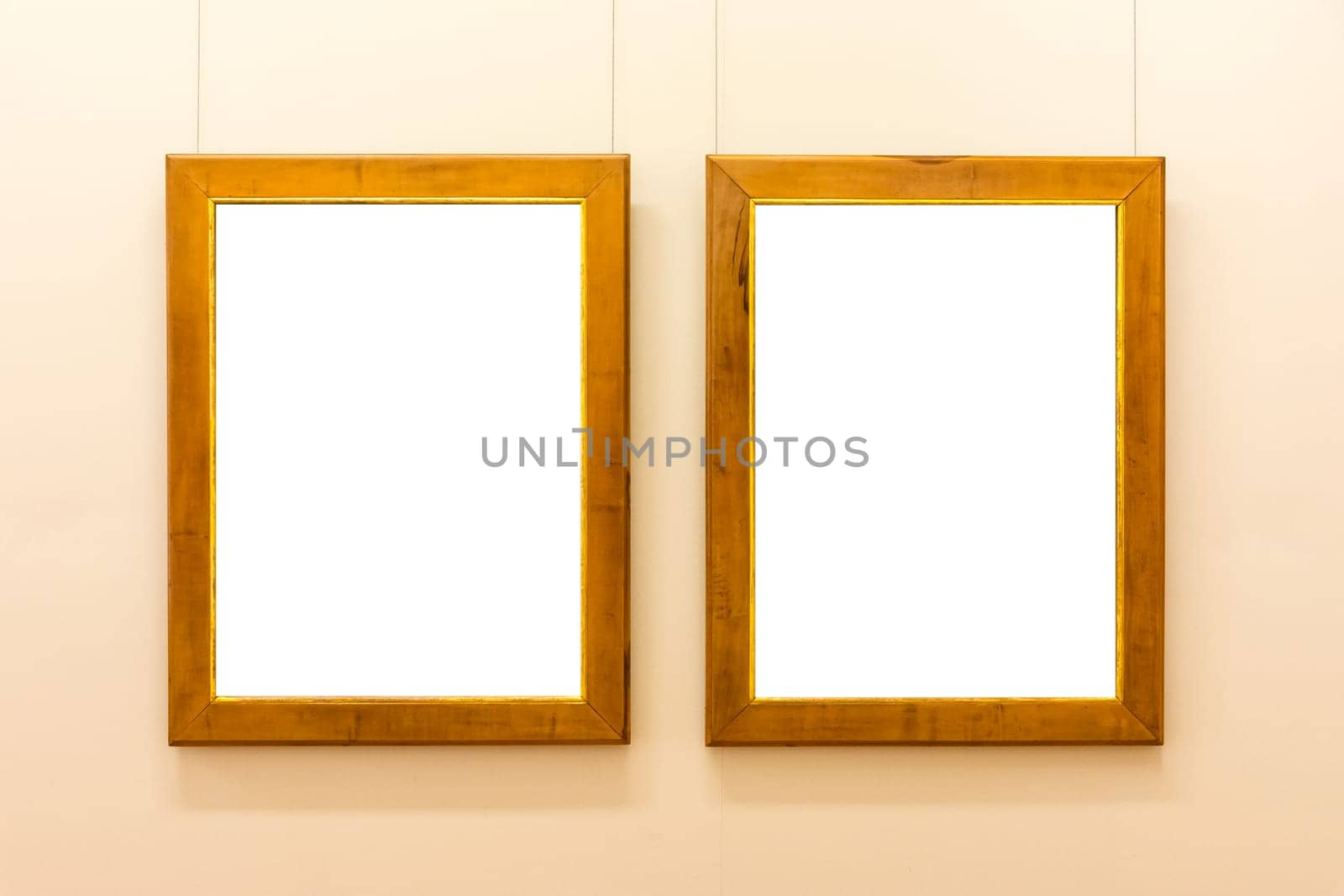 Blank Art Museum Isolated Painting Frame Decoration Indoors Wall White Template