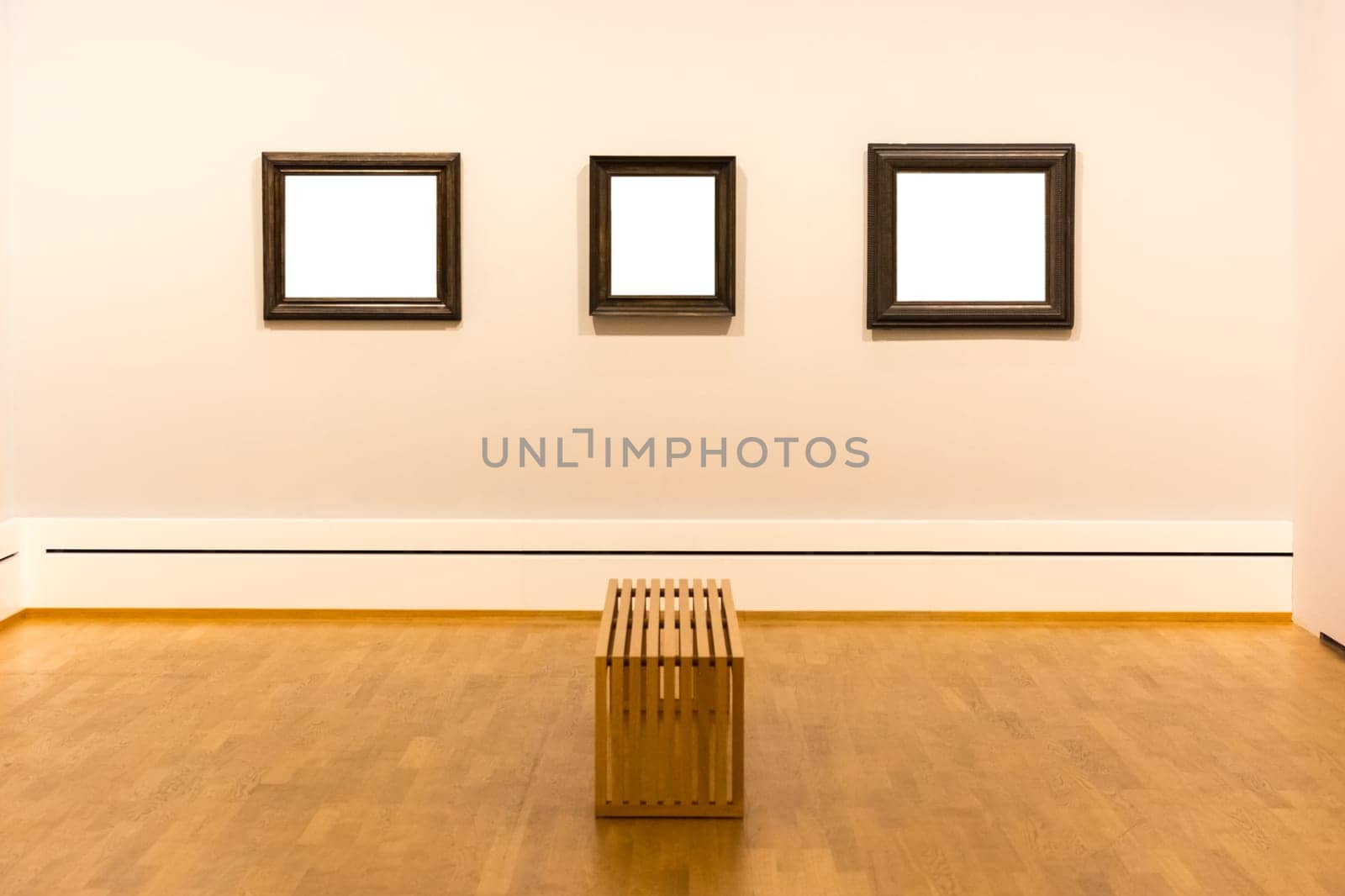Blank Art Museum Isolated Painting Frame Decoration Indoors Wall White Template