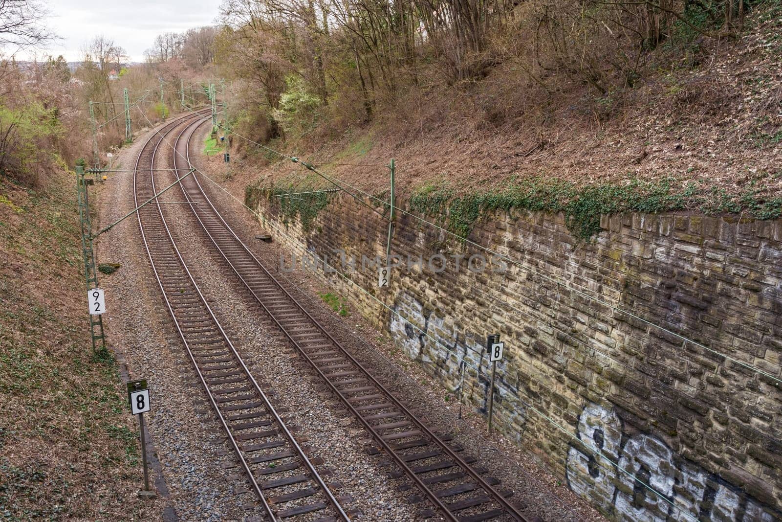 Train Tracks Through Forest from Above Horizon Sunset Curve Landscape Shipping Industry
