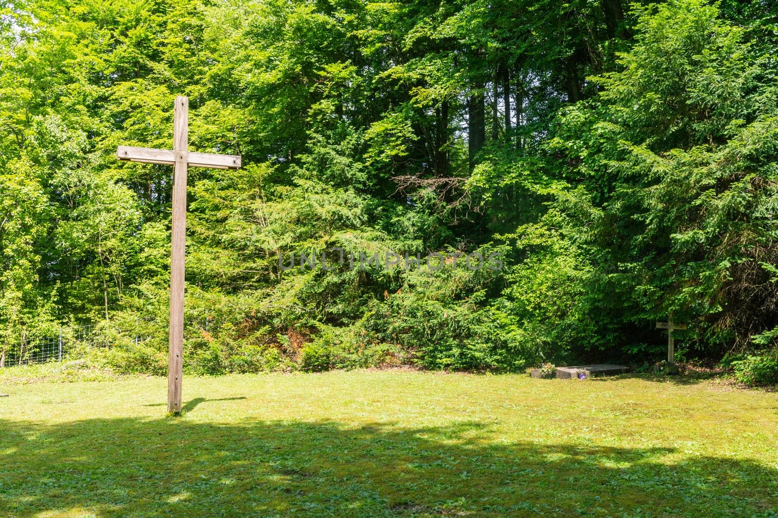 Wooden Cross in Forest Cemetary Graveyard Religious Christian Structure Grass Empty Field