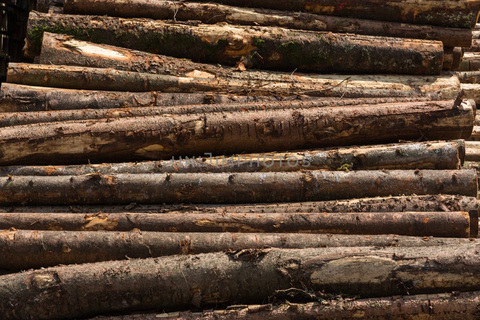 Wooden Log Pile Factory Side View  Texture Background Bark Laying Together