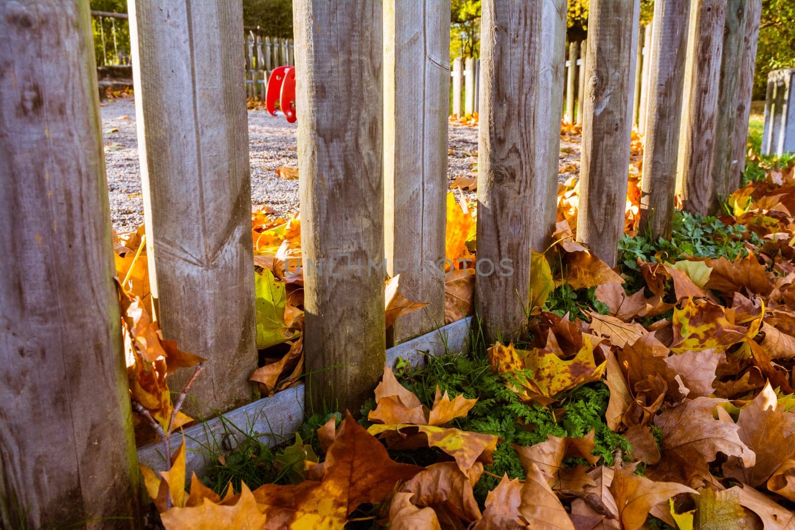 Wooden Gate Playground Covered in Leaves Orange Red Yellow Autumn Fall Grass