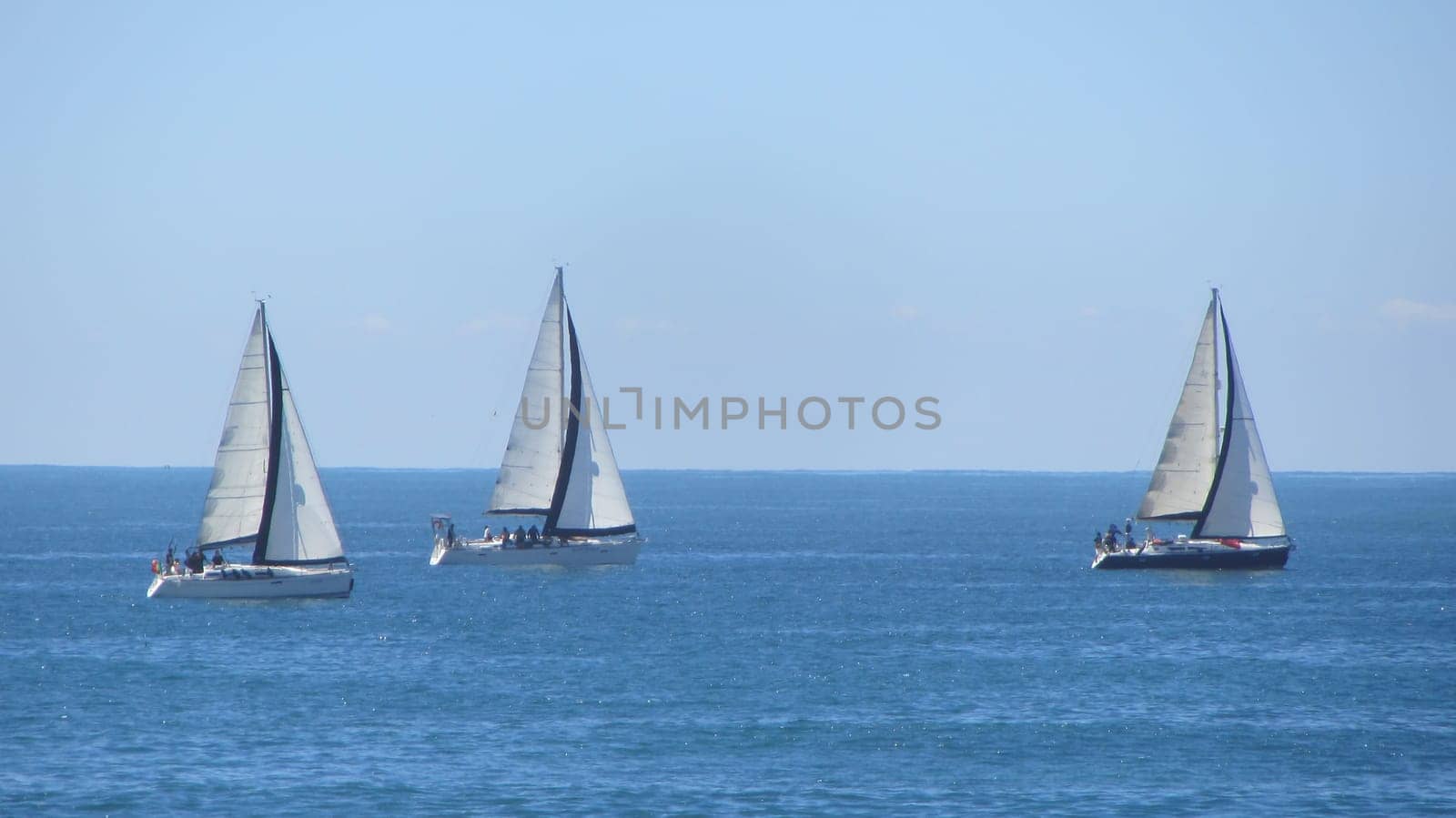 Three Sailboats on Water Ocean Landscape Peaceful Vacation