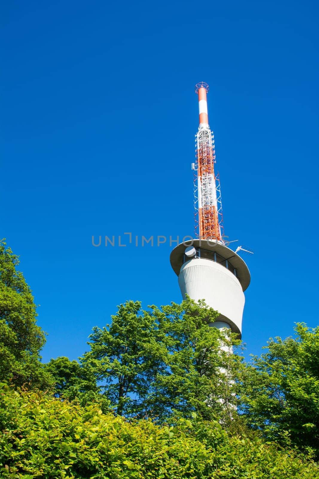 TV Tower on Blue Sky Green Trees Sunny Summer Wireless Communication Technology Engineering Architecture