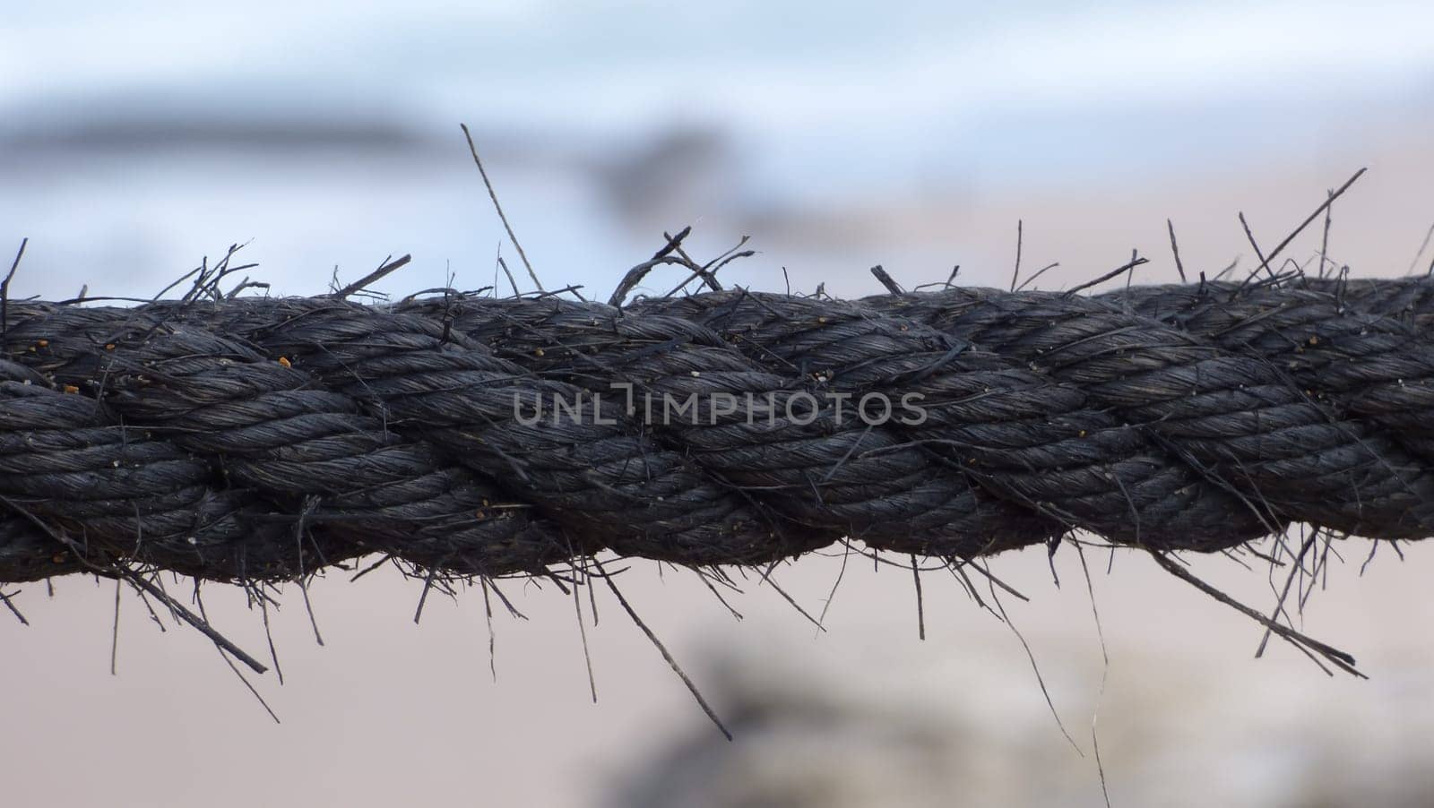Rough Thick Rope Railing Beach Tropical Environment Wooden Post Ocean