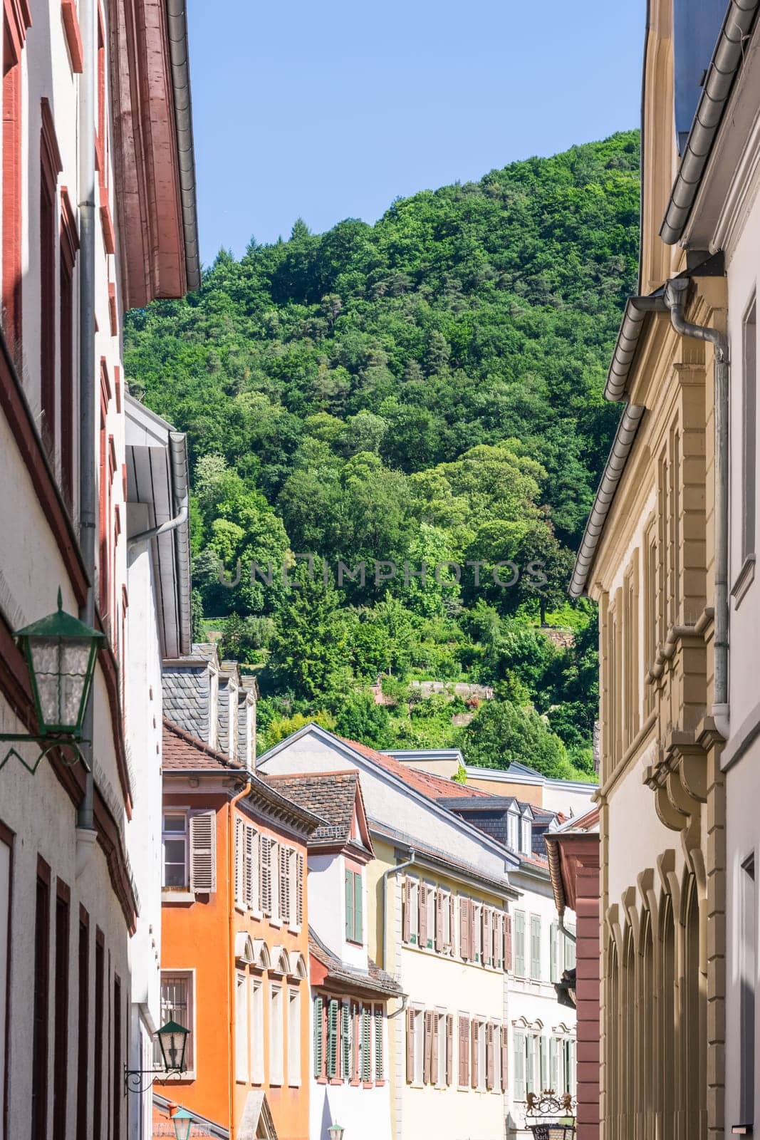 European Alley Green Trees Hill Forest Village Cozy Beautiful