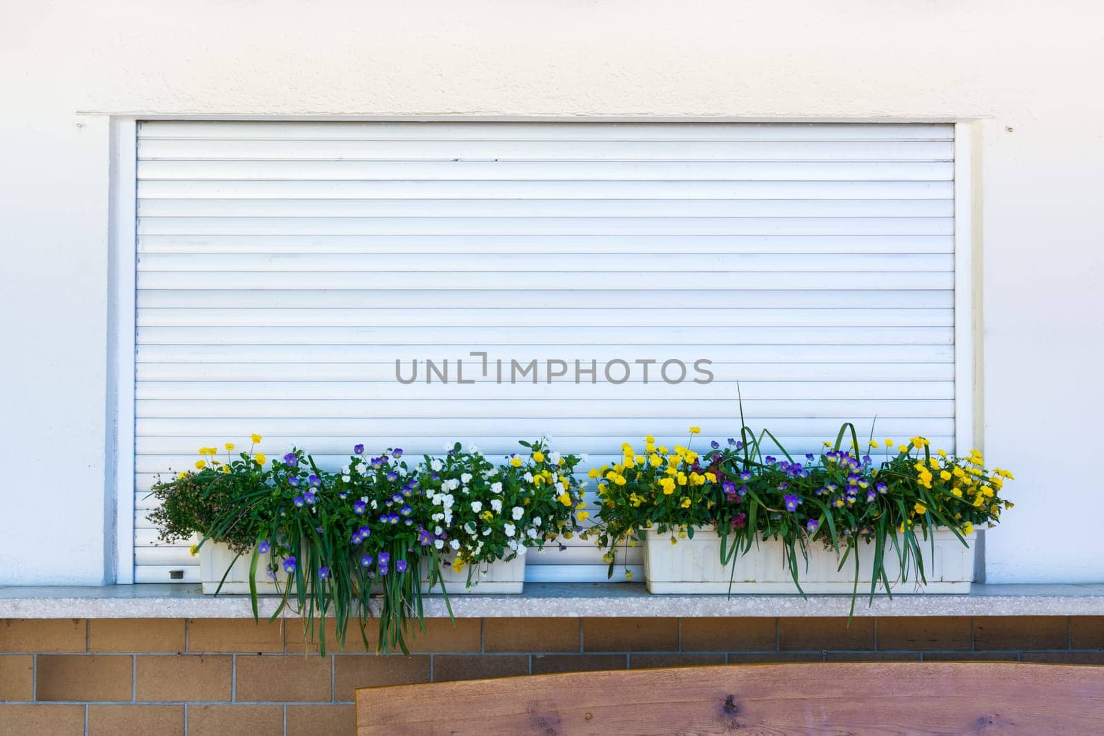 Flower Planter Box Grass over Closed Metal Rolladen German Shop Closing Time Wall Straight