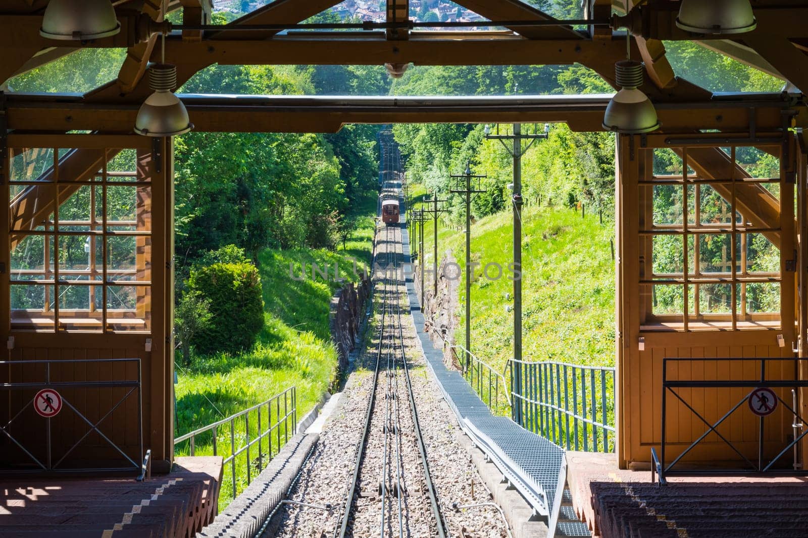 Forest Tram Wooden European Uphill Trees Summer Blue Day Arrival Cabin