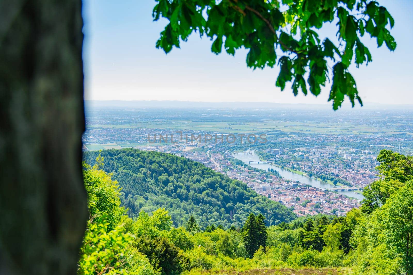 Heidelberg View over Baden-Wuerttemberg Neckar River Landscape Europe High Altitude Summer Blue Sky