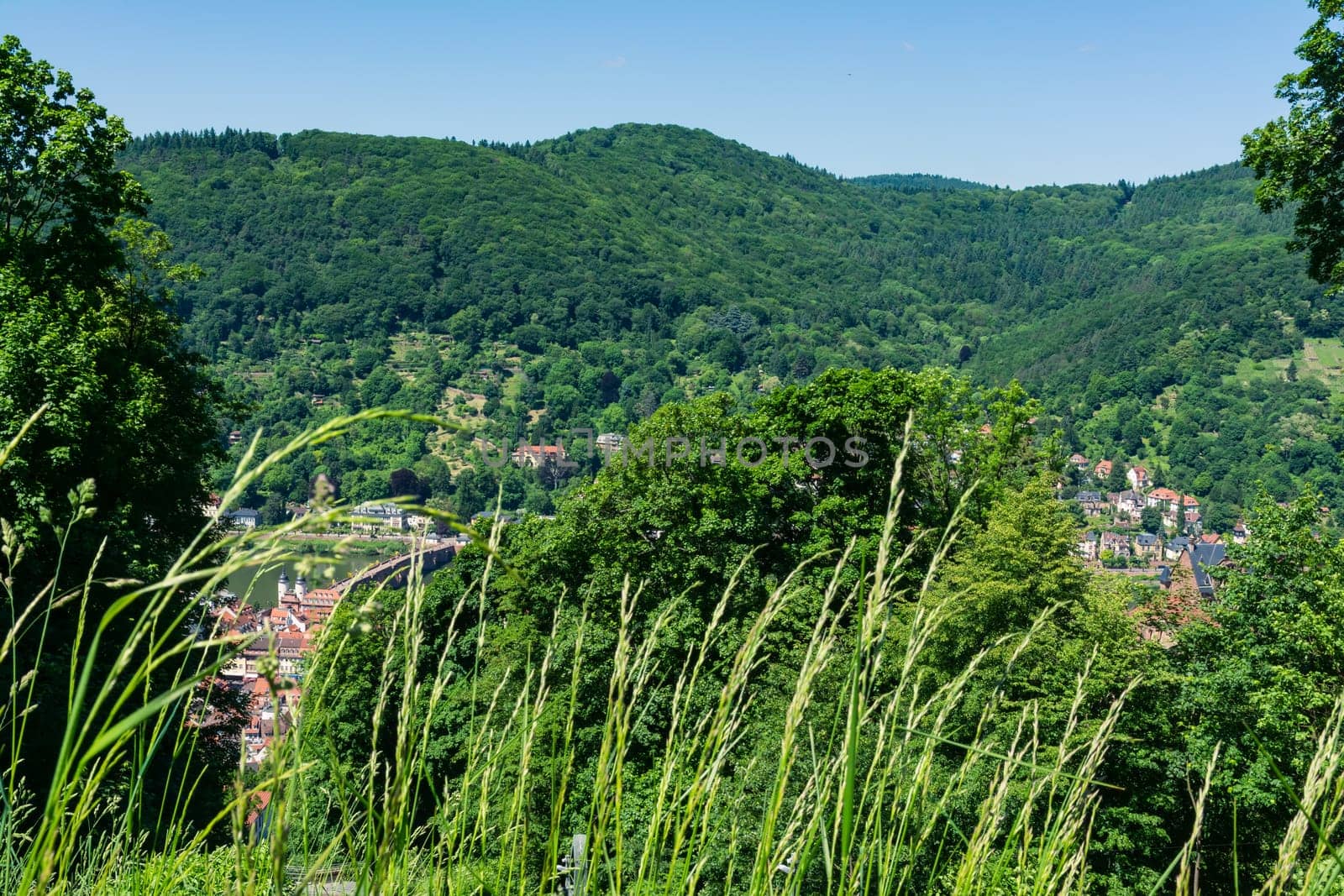 Heidelberg View over Baden-Wuerttemberg Neckar River Landscape Europe High Altitude Summer Blue Sky