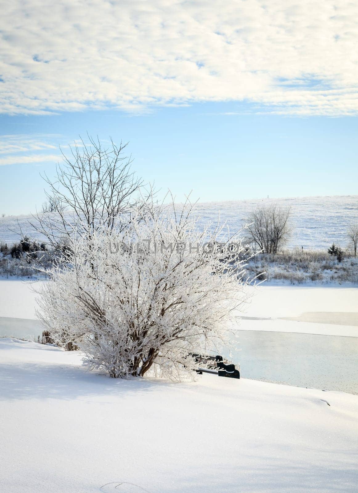 Beautiful winter morning on a small lake near Georgetown, Kentucky