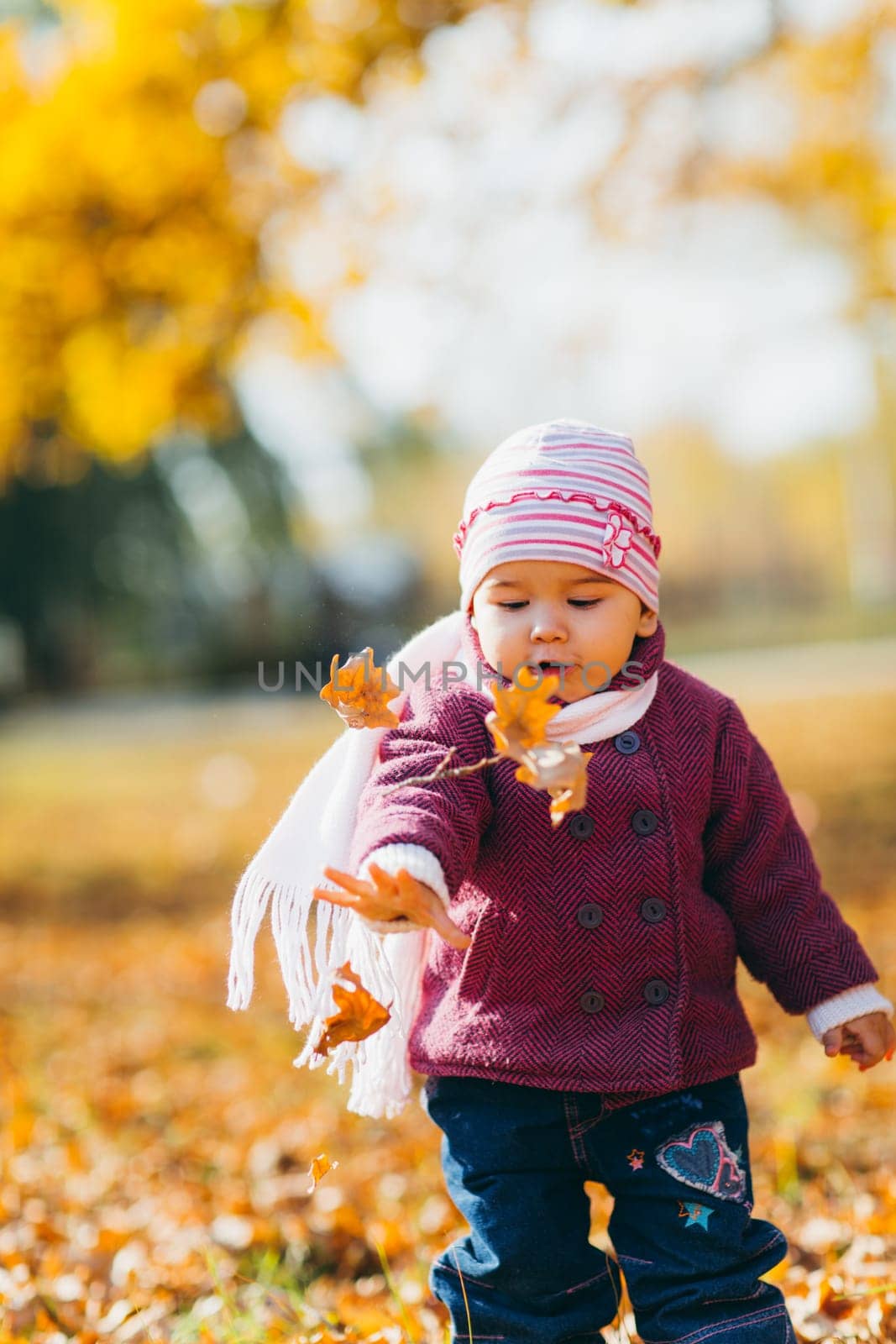 adorable little girl with autumn leaves in the beauty park