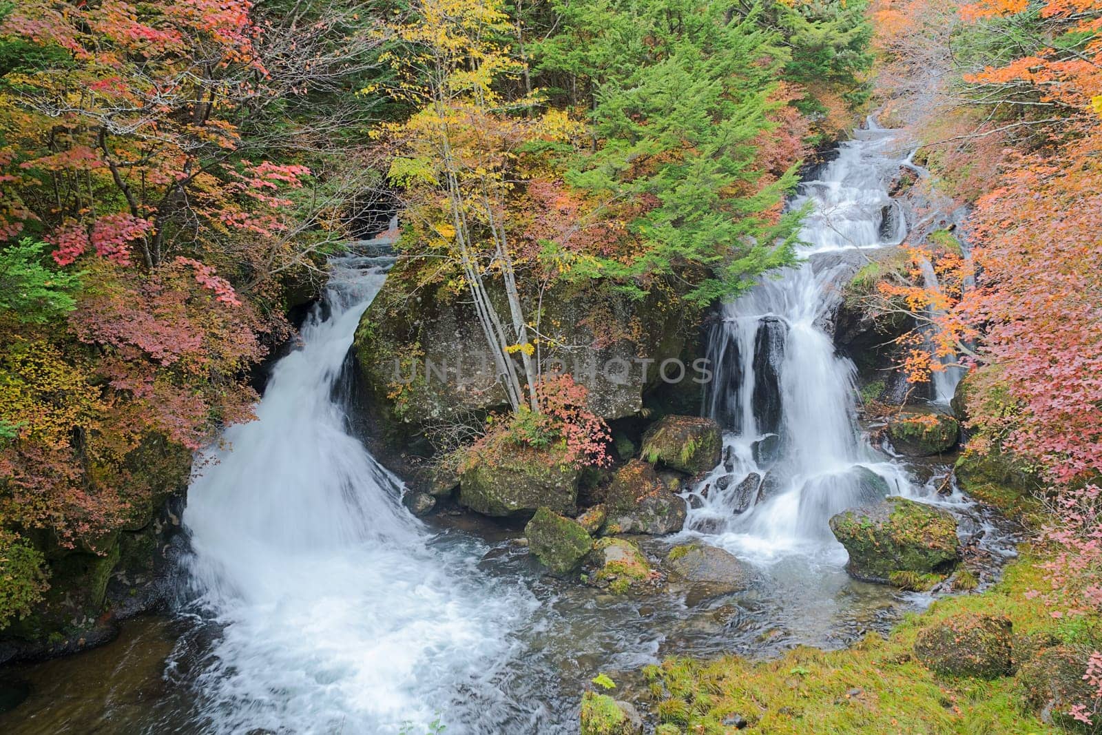Ryuzu Waterfall means "dragon head waterfall"" in Japanese. The name comes from the shape of the falls, which resembles the head of a dragon. The waterfall is located on Yukawa River, shortly before the river discharges into Lake Chuzenji. This photo was shot in autumn"