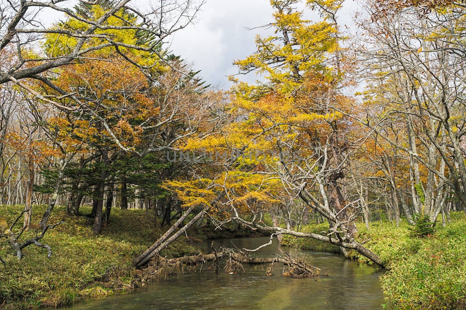Nikko is well known for its scenic beauty surrounded by natural attractions such as mountains, marshlands, and lakes. It is also very popular for those who love to hiking or trekking. This photo was shot in autumn.