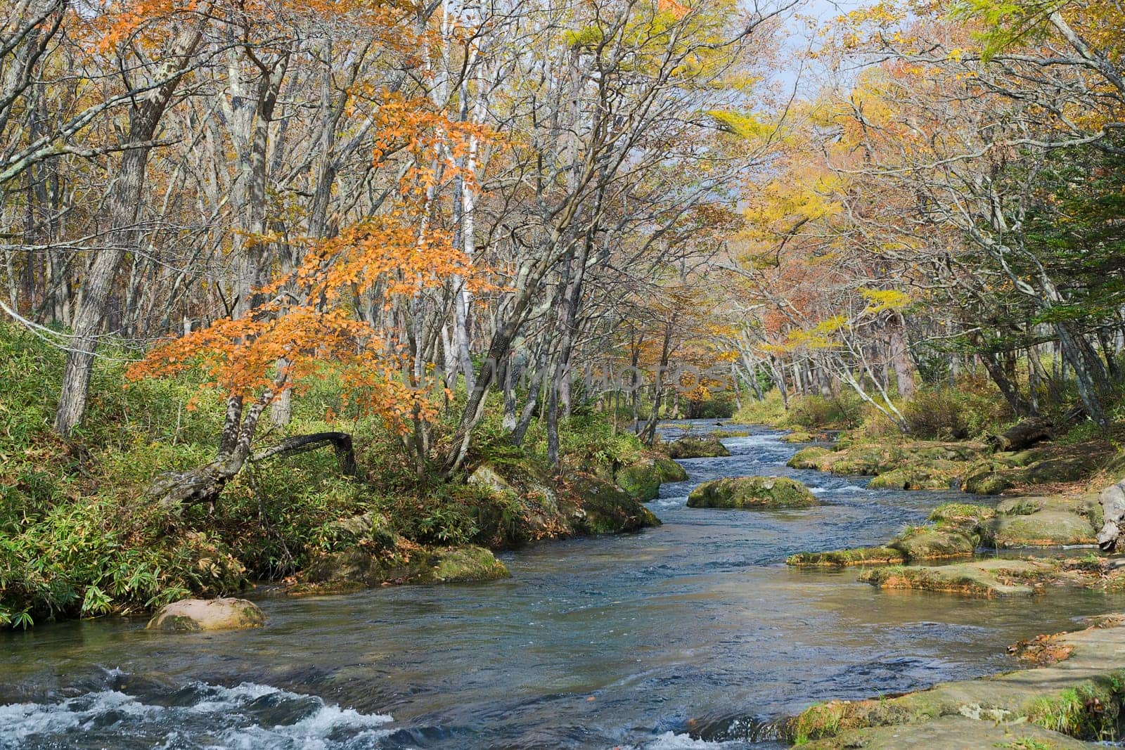 Nikko is well known for its scenic beauty surrounded by natural attractions such as mountains, marshlands, and lakes. It is also very popular for those who love to hiking or trekking. This photo was shot in autumn.