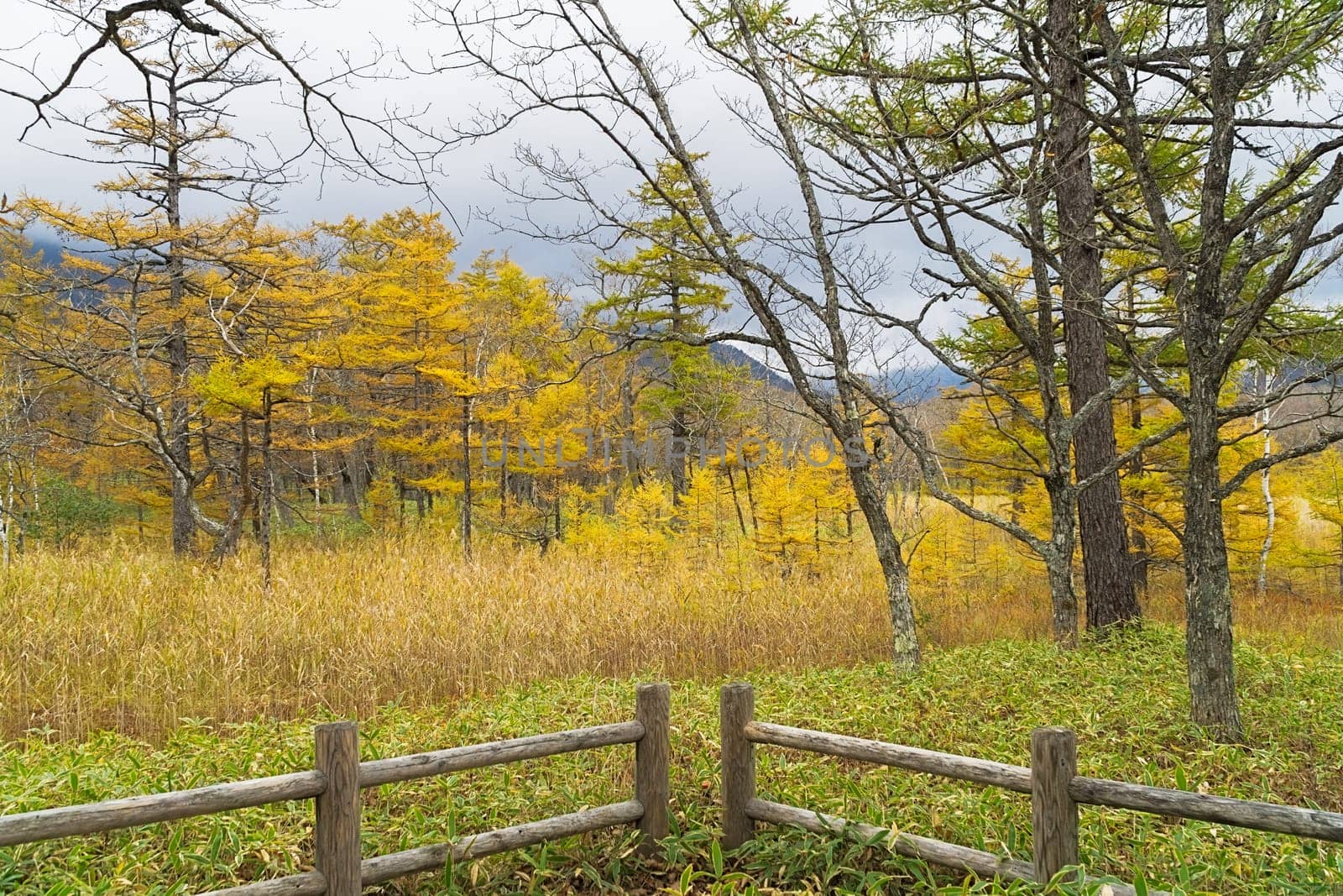 Nikko is well known for its scenic beauty surrounded by natural attractions such as mountains, marshlands, and lakes. It is also very popular for those who love to hiking or trekking. This photo was shot in autumn.
